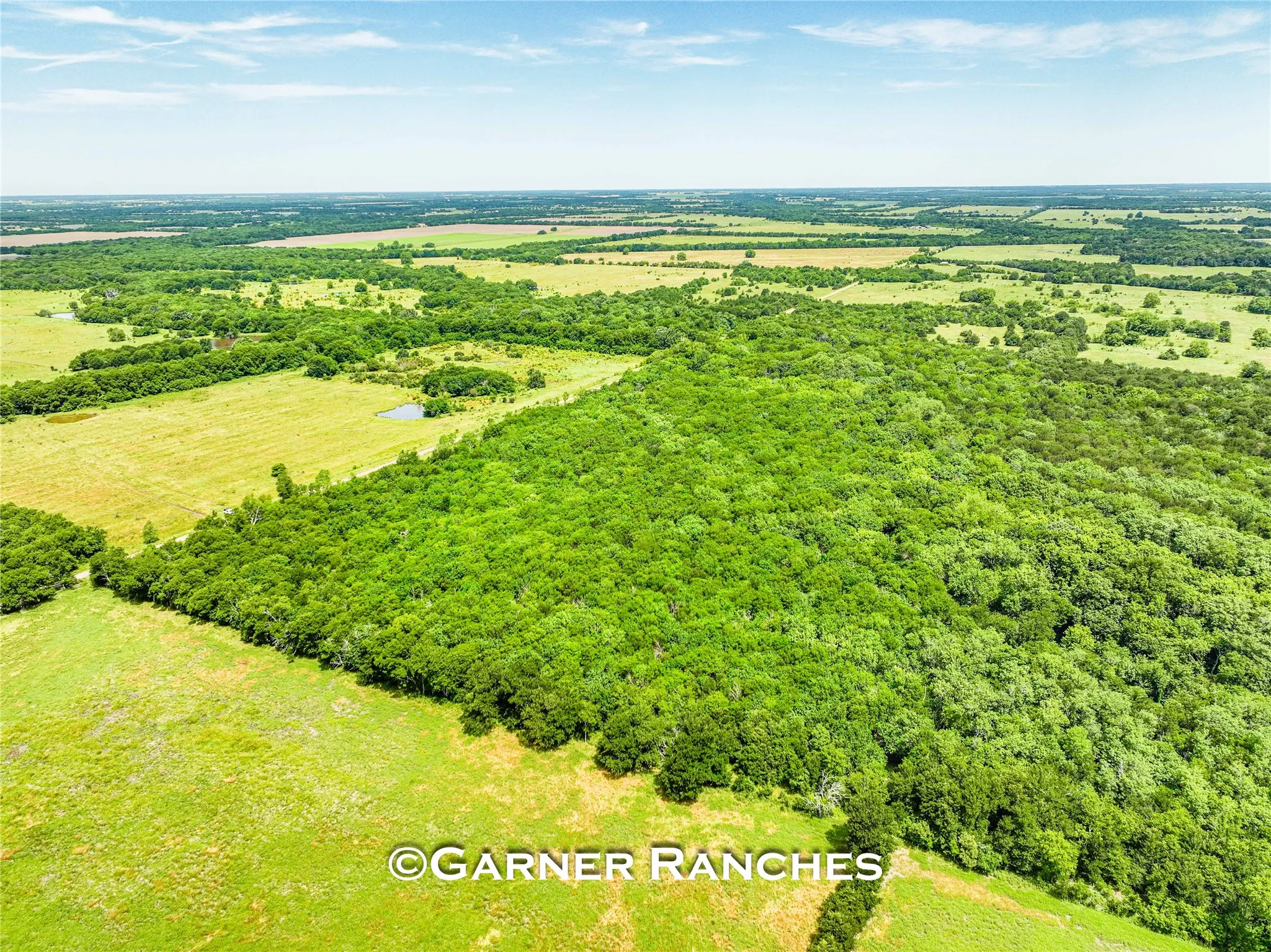Unimproved Land For Sale in Hunt County , 0000 County Road 1019, Celeste, Texas 75423, 0, 0, Garage spaces, 0 Sqft, built in 0, mls#21380526, Real Estate Agent in Celeste, Homes For Sale in Hunt county, Homes For Sale in Celeste, Realtor in Celeste Texas, Real Estate Brokerage Independent Realty Texas, Luminita Cordes Realtor
