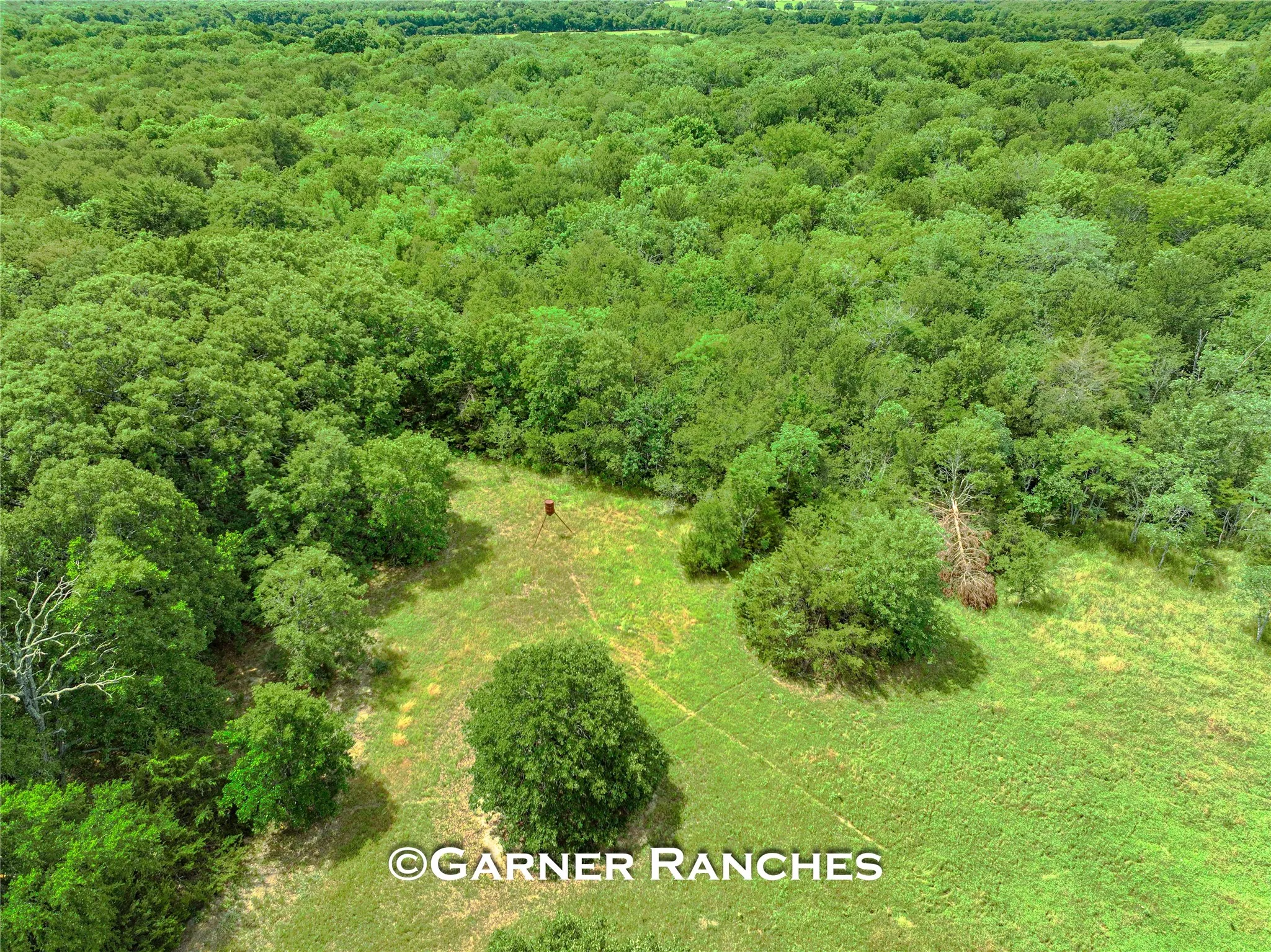 Unimproved Land For Sale in Hunt County , 0000 County Road 1019, Celeste, Texas 75423, 0, 0, Garage spaces, 0 Sqft, built in 0, mls#21380526, Real Estate Agent in Celeste, Homes For Sale in Hunt county, Homes For Sale in Celeste, Realtor in Celeste Texas, Real Estate Brokerage Independent Realty Texas, Luminita Cordes Realtor