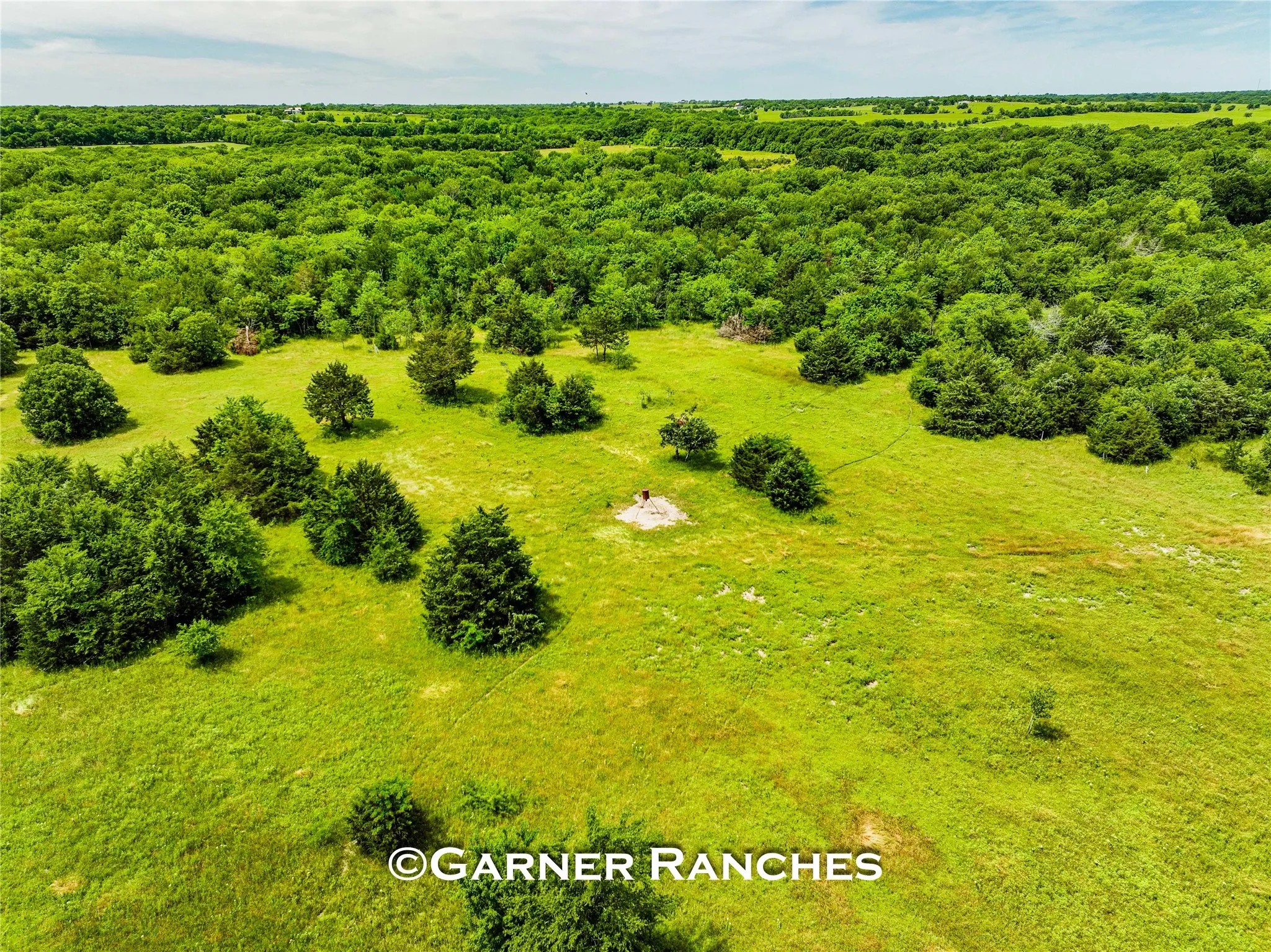 Unimproved Land For Sale in Hunt County , 0000 County Road 1019, Celeste, Texas 75423, 0, 0, Garage spaces, 0 Sqft, built in 0, mls#21380526, Real Estate Agent in Celeste, Homes For Sale in Hunt county, Homes For Sale in Celeste, Realtor in Celeste Texas, Real Estate Brokerage Independent Realty Texas, Luminita Cordes Realtor