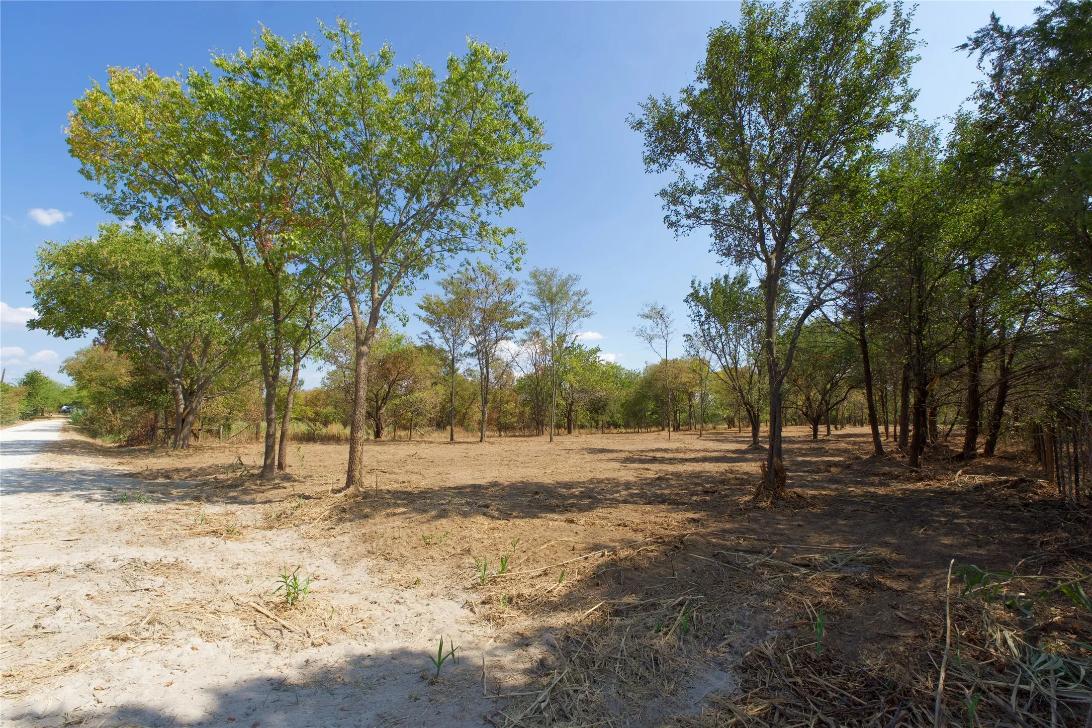 Unimproved Land For Sale in Cooke County , 000 Reason Jones Road, Valley View, Texas 76272, 0, 0, Garage spaces, 0 Sqft, built in 0, mls#21379338, Real Estate Agent in Valley View, Homes For Sale in Cooke county, Homes For Sale in Valley View, Realtor in Valley View Texas, Real Estate Brokerage Independent Realty Texas, Luminita Cordes Realtor