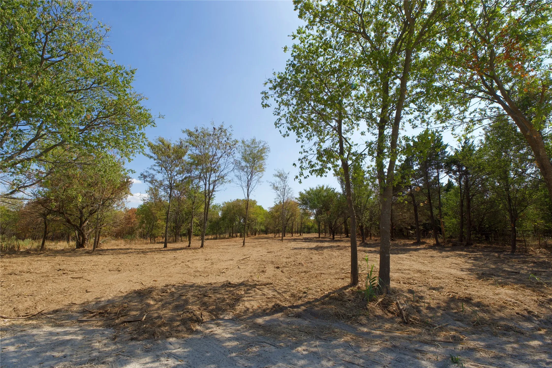 Unimproved Land For Sale in Cooke County , 000 Reason Jones Road, Valley View, Texas 76272, 0, 0, Garage spaces, 0 Sqft, built in 0, mls#21379338, Real Estate Agent in Valley View, Homes For Sale in Cooke county, Homes For Sale in Valley View, Realtor in Valley View Texas, Real Estate Brokerage Independent Realty Texas, Luminita Cordes Realtor