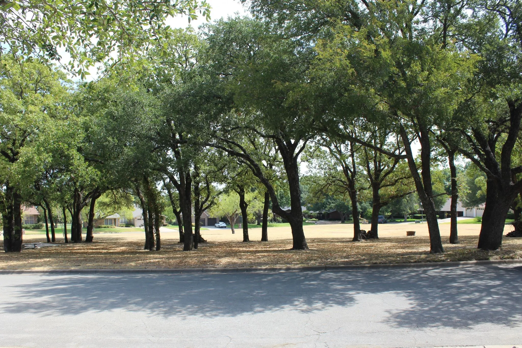 Single Family Residence For Sale in Erath County , 115 Sandra Palmer Street, Stephenville, Texas 76401, 4 Bedroom, 3 Bathroom, 2 Garage spaces, 2,678 Sqft, built in 1982, mls#21380540, Real Estate Agent in Stephenville, Homes For Sale in Erath county, Homes For Sale in Stephenville, Realtor in Stephenville Texas, Real Estate Brokerage Independent Realty Texas, Luminita Cordes Realtor