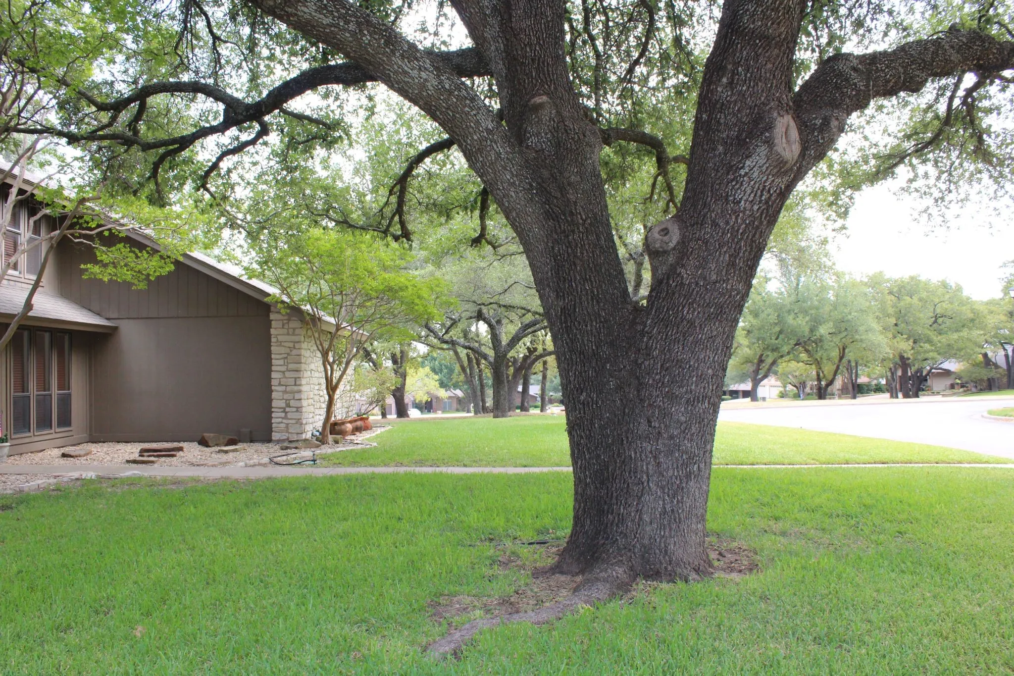 Single Family Residence For Sale in Erath County , 115 Sandra Palmer Street, Stephenville, Texas 76401, 4 Bedroom, 3 Bathroom, 2 Garage spaces, 2,678 Sqft, built in 1982, mls#21380540, Real Estate Agent in Stephenville, Homes For Sale in Erath county, Homes For Sale in Stephenville, Realtor in Stephenville Texas, Real Estate Brokerage Independent Realty Texas, Luminita Cordes Realtor