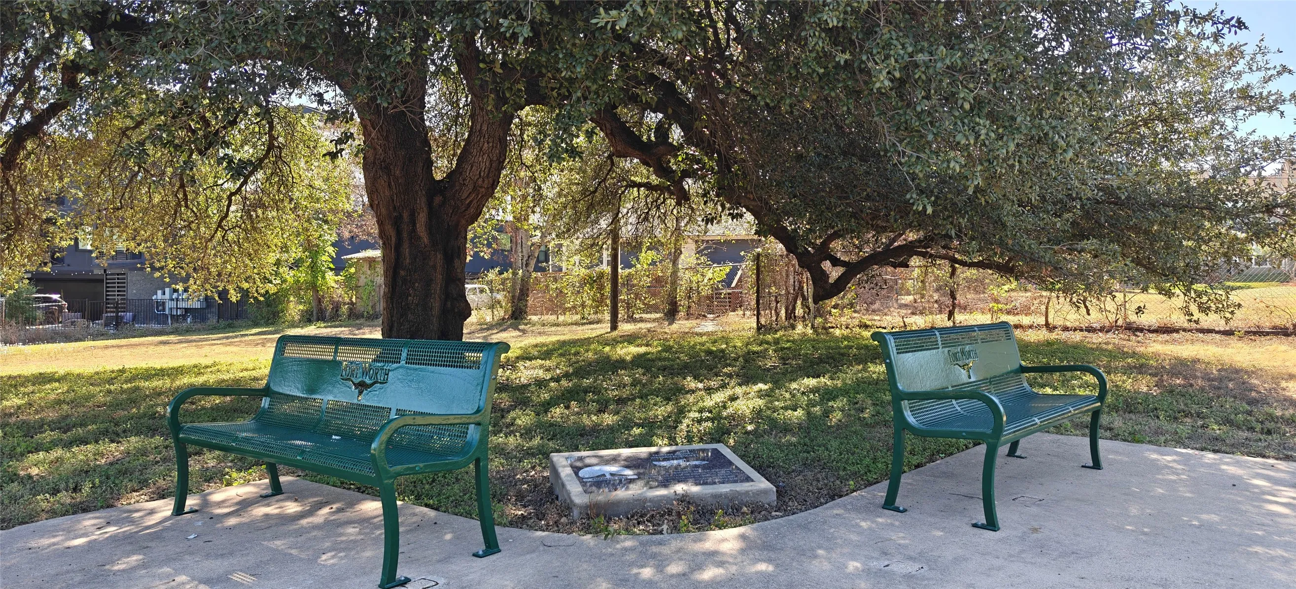 Historic Traders Oak, where Tarrant County held its first election & court in 1850.