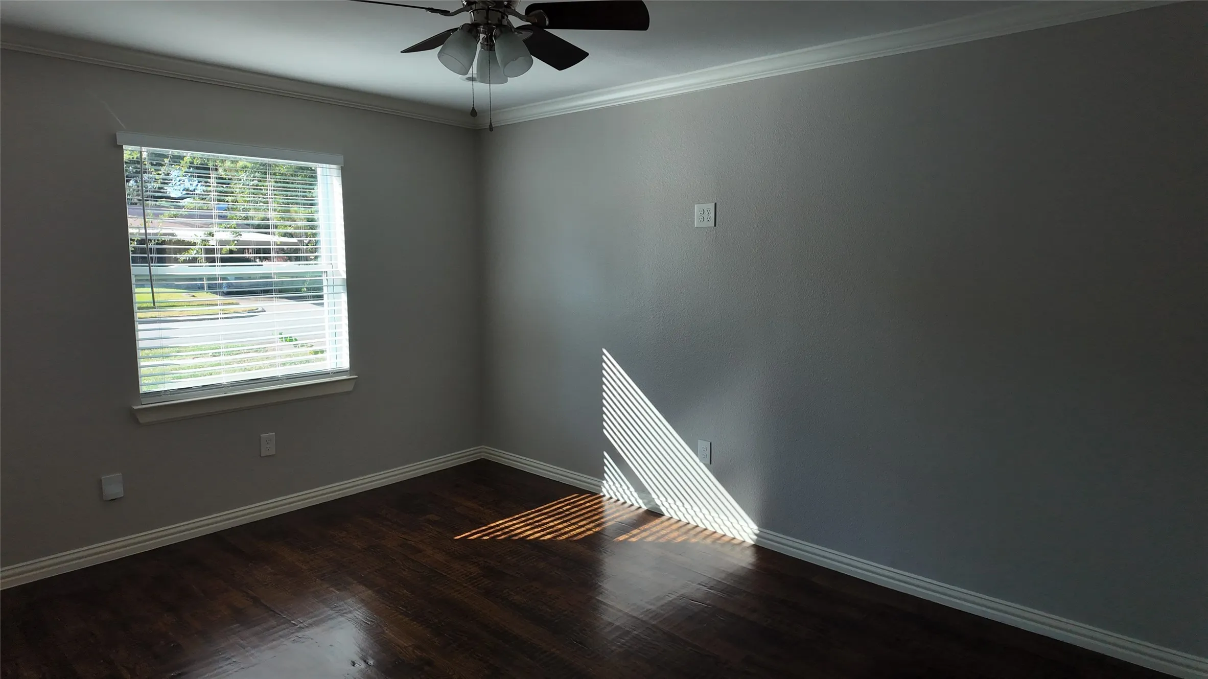 Hardwood-finish flooring, crown molding, ceiling fan with light fixture, and window with blinds