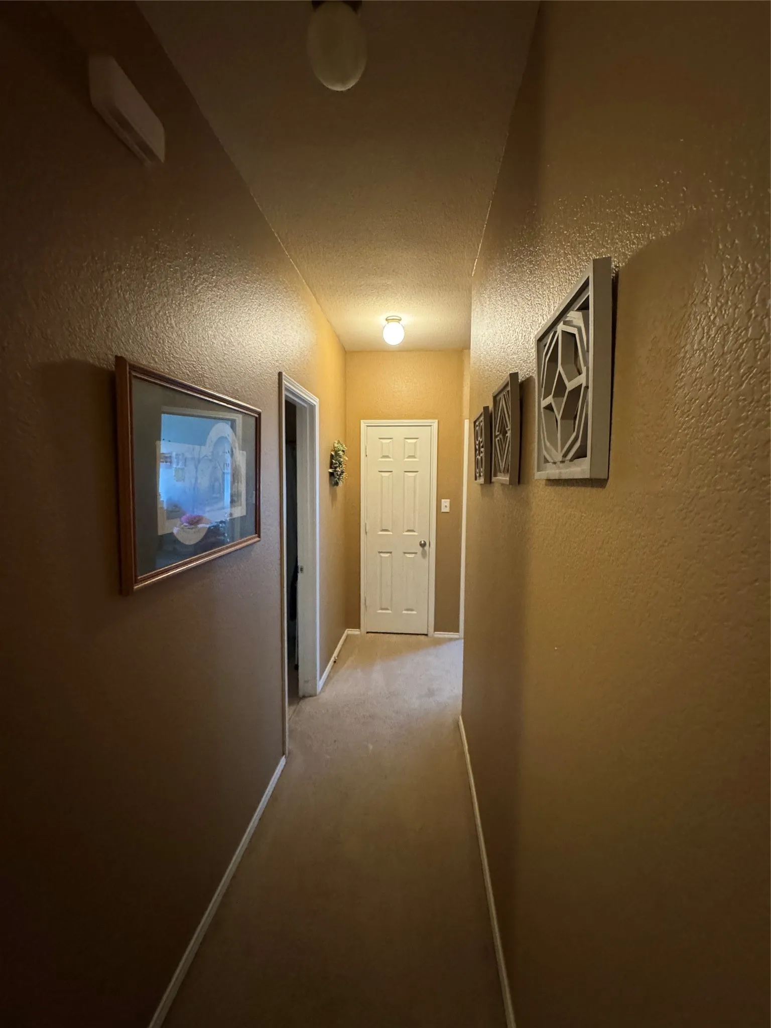 Hallway with warm-toned walls, white trim, and carpet flooring