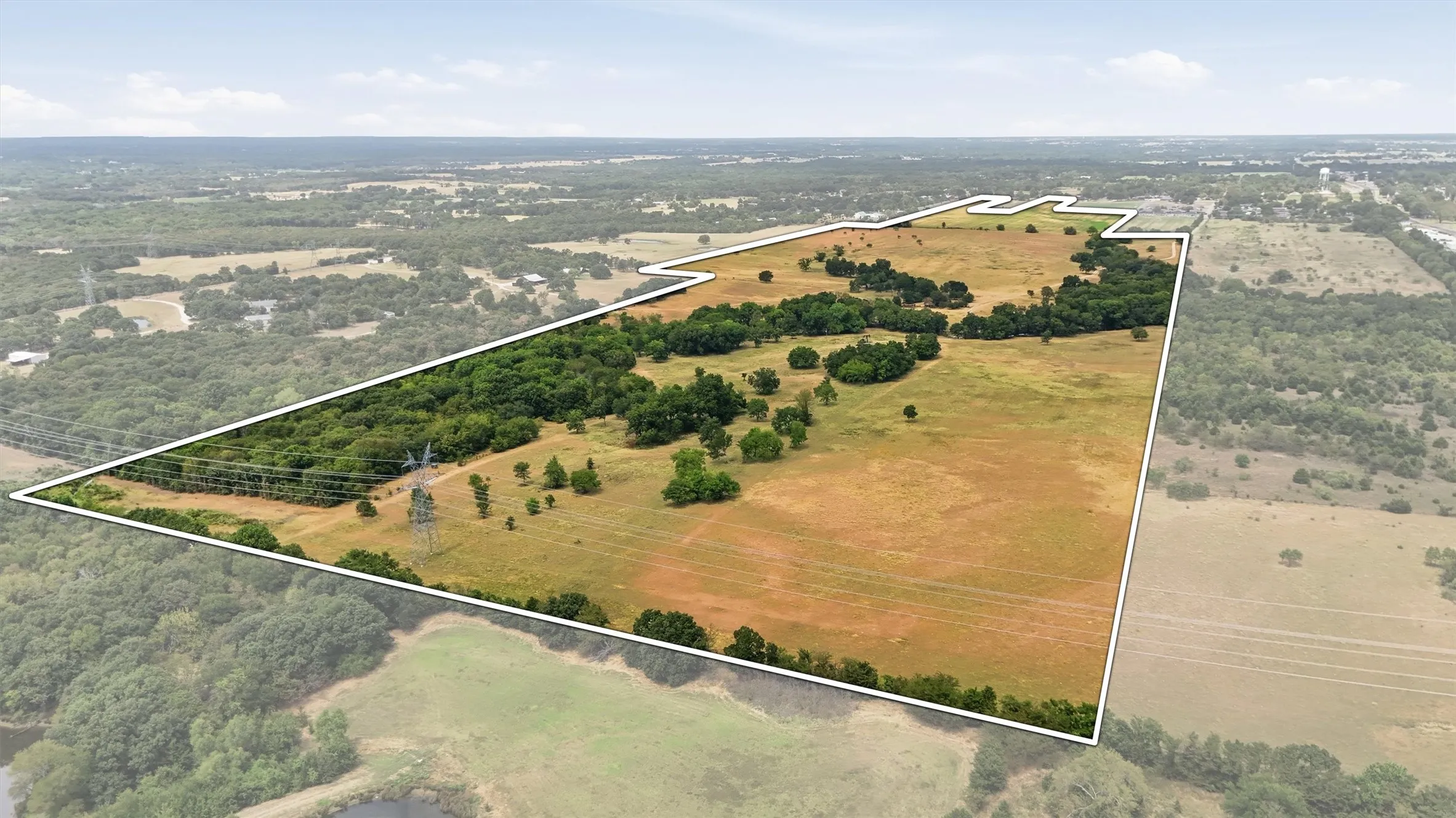 Expansive undeveloped land with a mix of open fields and mature tree clusters