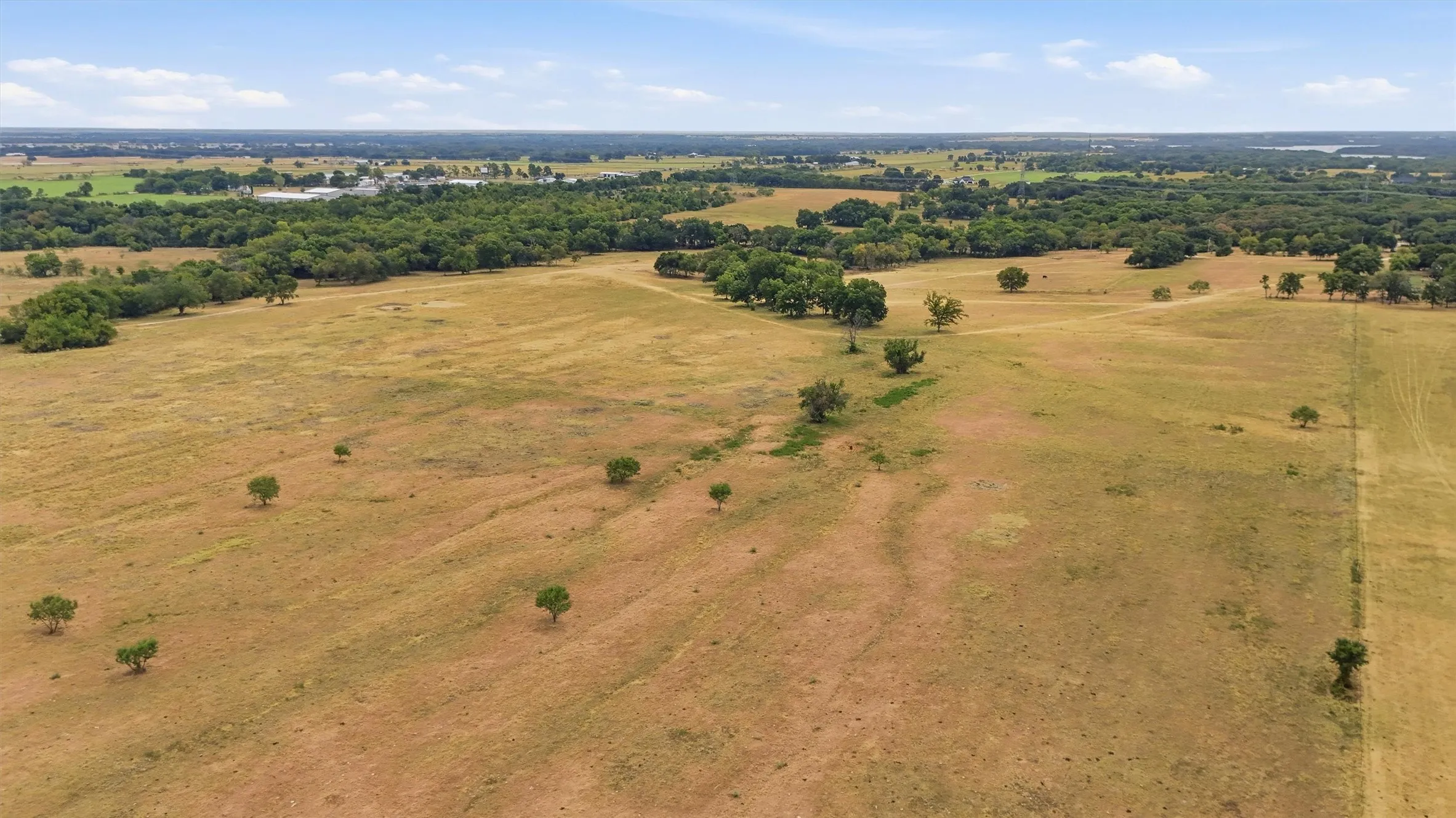 Expansive open fields with scattered trees and distant treelines