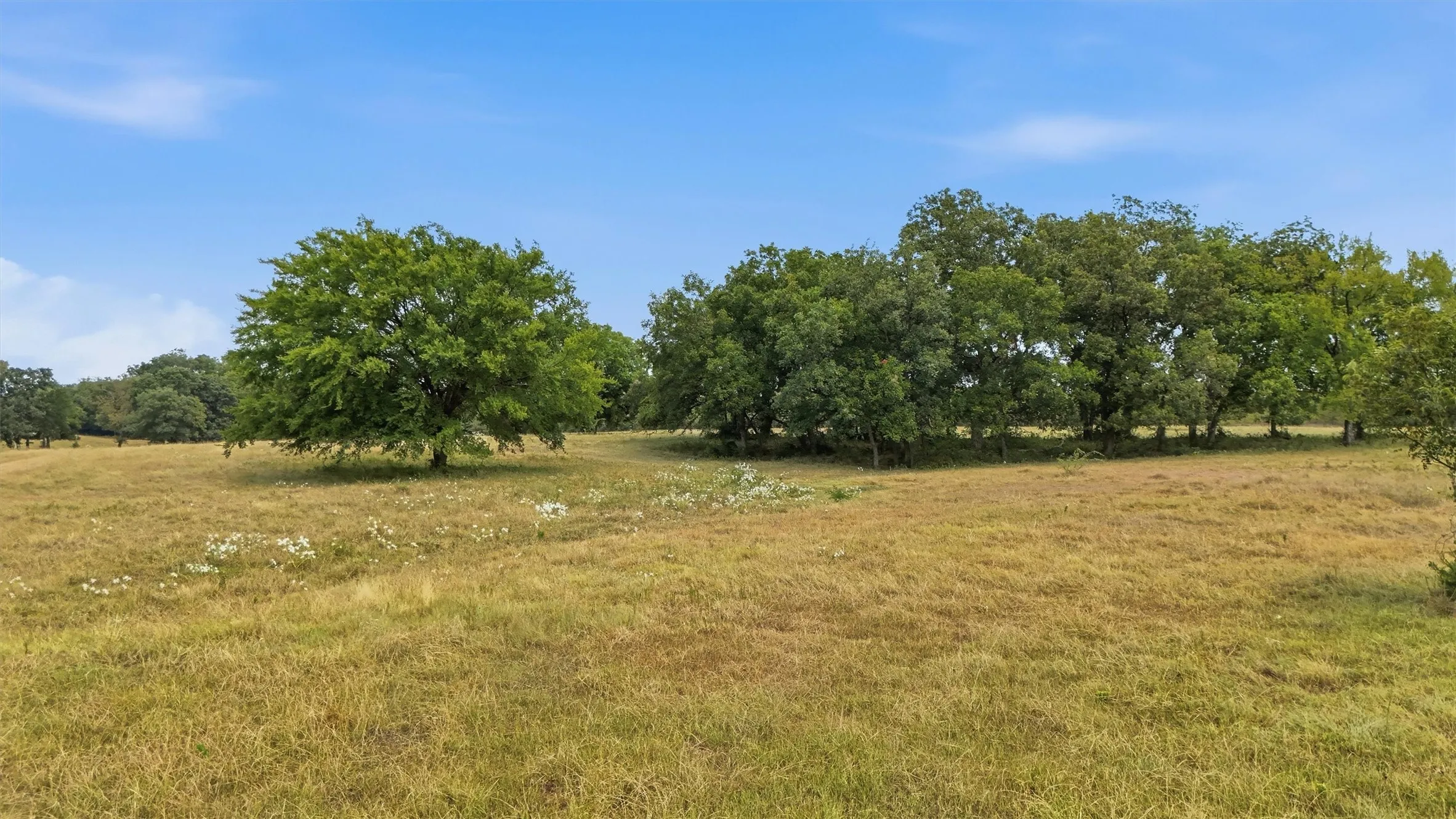 Unimproved Land For Sale in Grayson County , 544 W FM 902, Collinsville, Texas 76233, 0, 0, Garage spaces, 0 Sqft, built in 0, mls#21367808, Real Estate Agent in Collinsville, Homes For Sale in Grayson county, Homes For Sale in Collinsville, Realtor in Collinsville Texas, Real Estate Brokerage Independent Realty Texas, Luminita Cordes Realtor