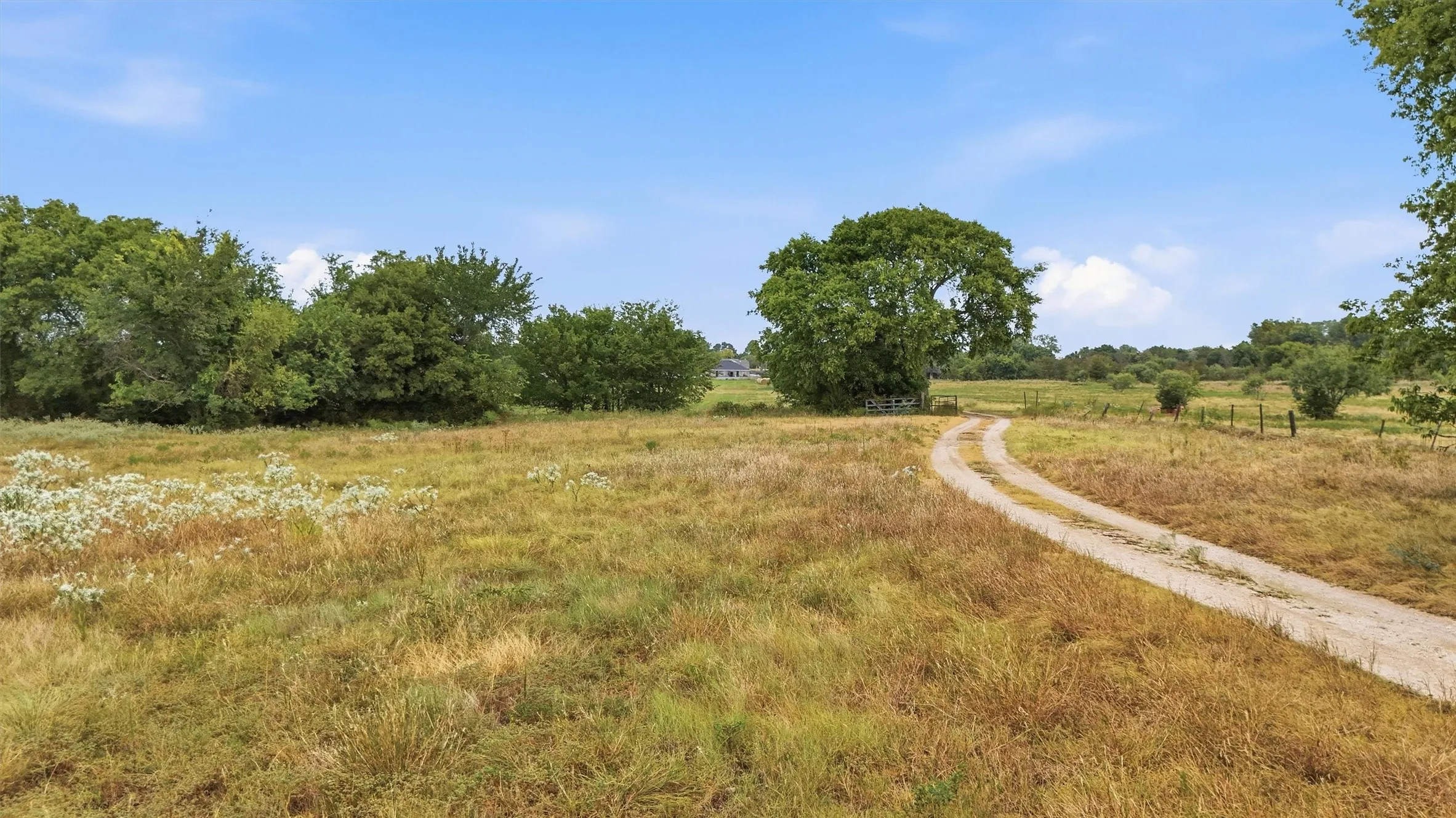 Unimproved Land For Sale in Grayson County , 544 W FM 902, Collinsville, Texas 76233, 0, 0, Garage spaces, 0 Sqft, built in 0, mls#21367808, Real Estate Agent in Collinsville, Homes For Sale in Grayson county, Homes For Sale in Collinsville, Realtor in Collinsville Texas, Real Estate Brokerage Independent Realty Texas, Luminita Cordes Realtor