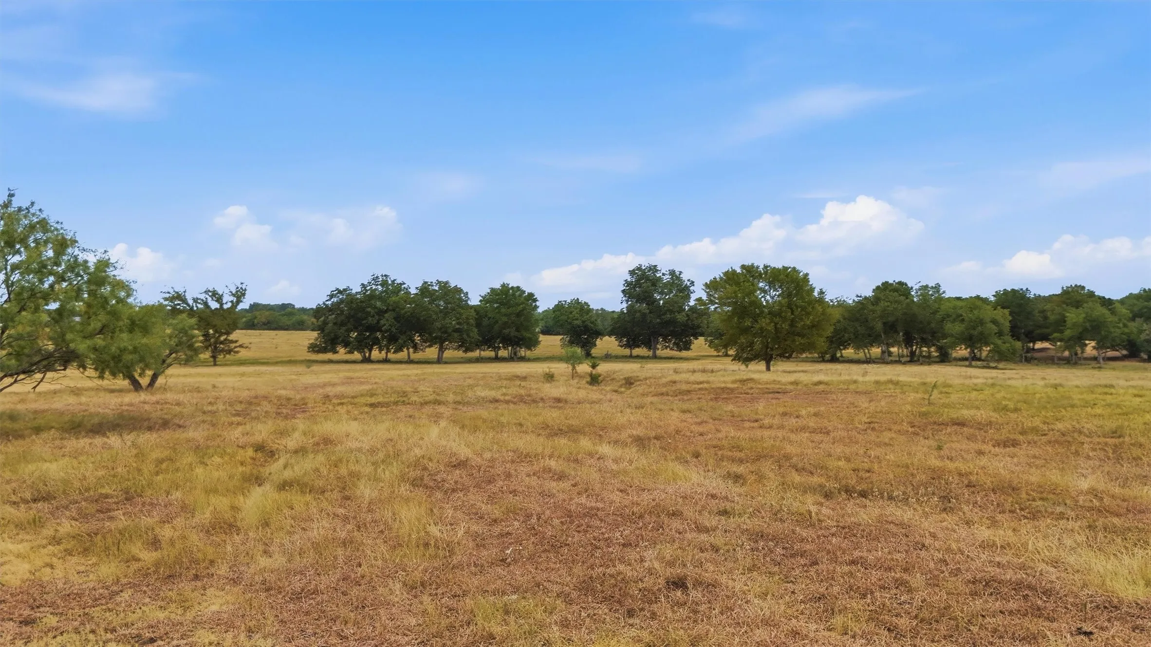 Expansive open land with scattered mature trees and natural vegetation