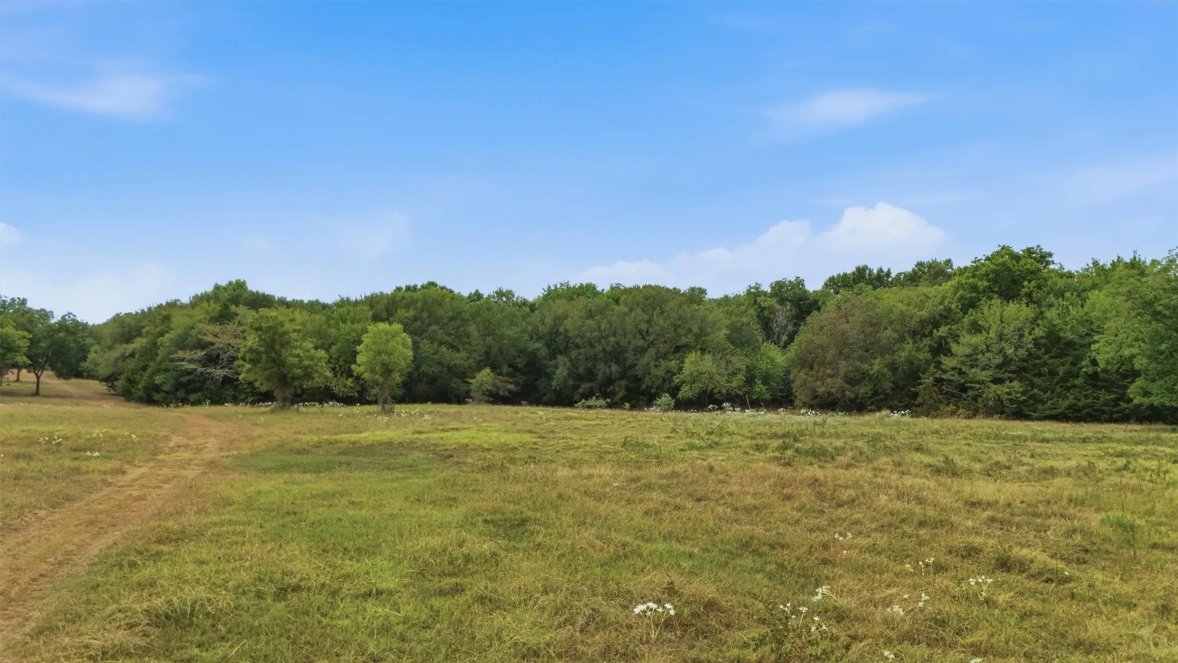 Expansive green space with mature trees