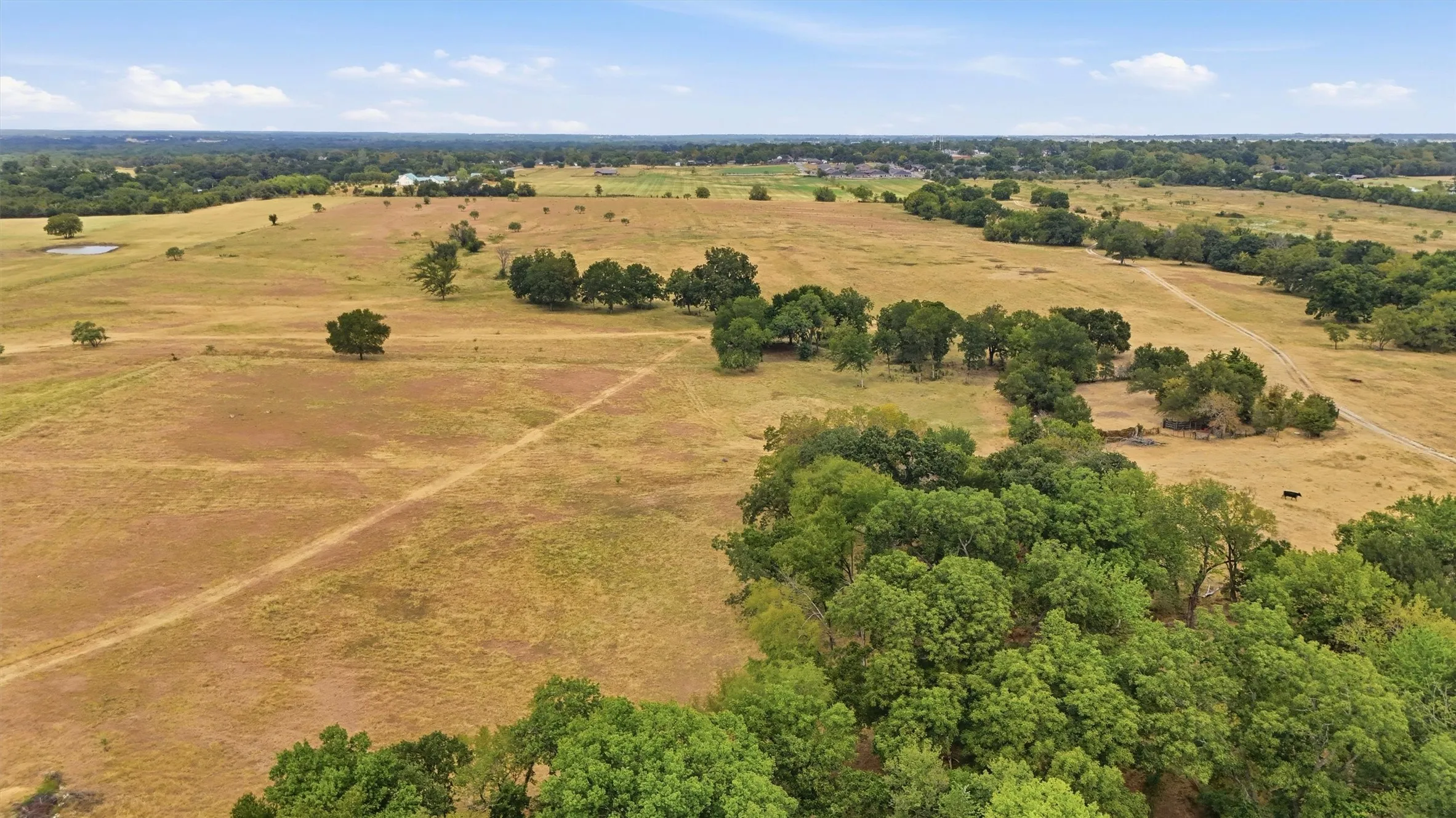 Expansive open land featuring scattered mature trees and a clear sky