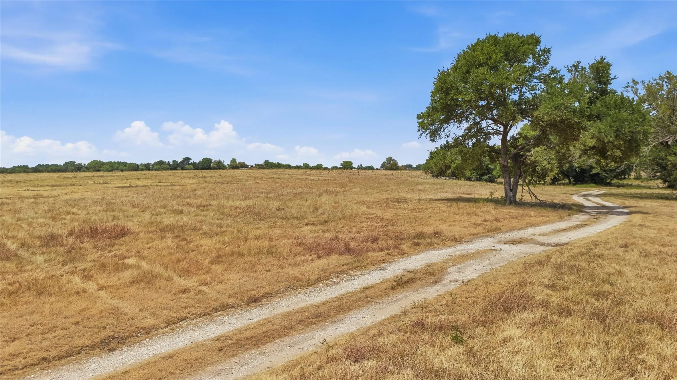 Unimproved Land For Sale in Grayson County , 544 W FM 902, Collinsville, Texas 76233, 0, 0, Garage spaces, 0 Sqft, built in 0, mls#21367808, Real Estate Agent in Collinsville, Homes For Sale in Grayson county, Homes For Sale in Collinsville, Realtor in Collinsville Texas, Real Estate Brokerage Independent Realty Texas, Luminita Cordes Realtor