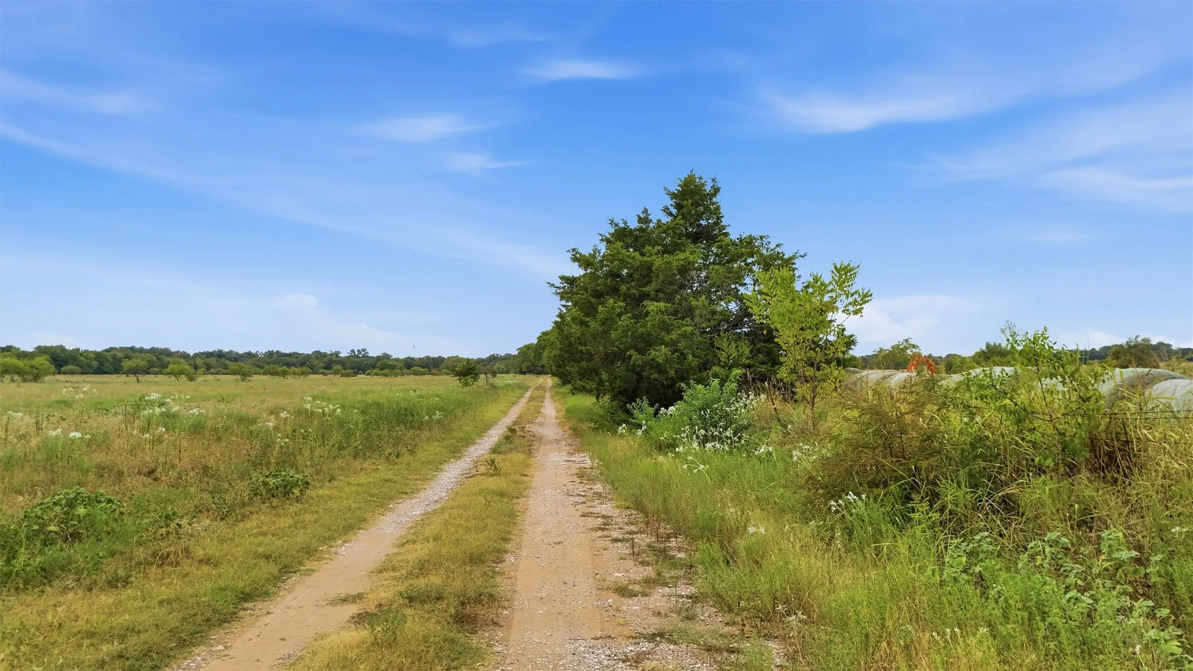 Unpaved road winding through expansive grassy fields, bordered by mature trees and varied vegetation