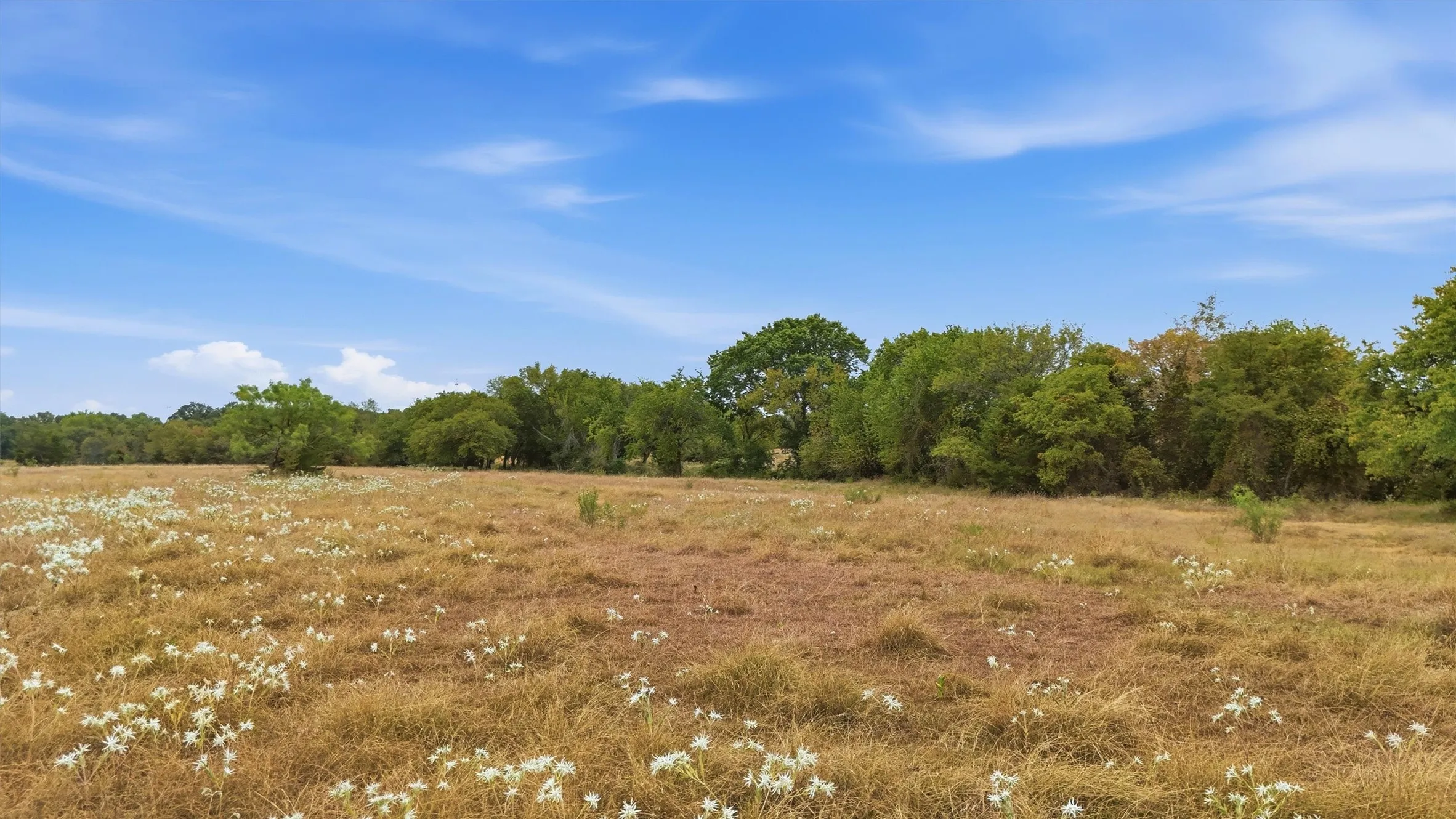 Expansive land with a natural grass field and mature trees