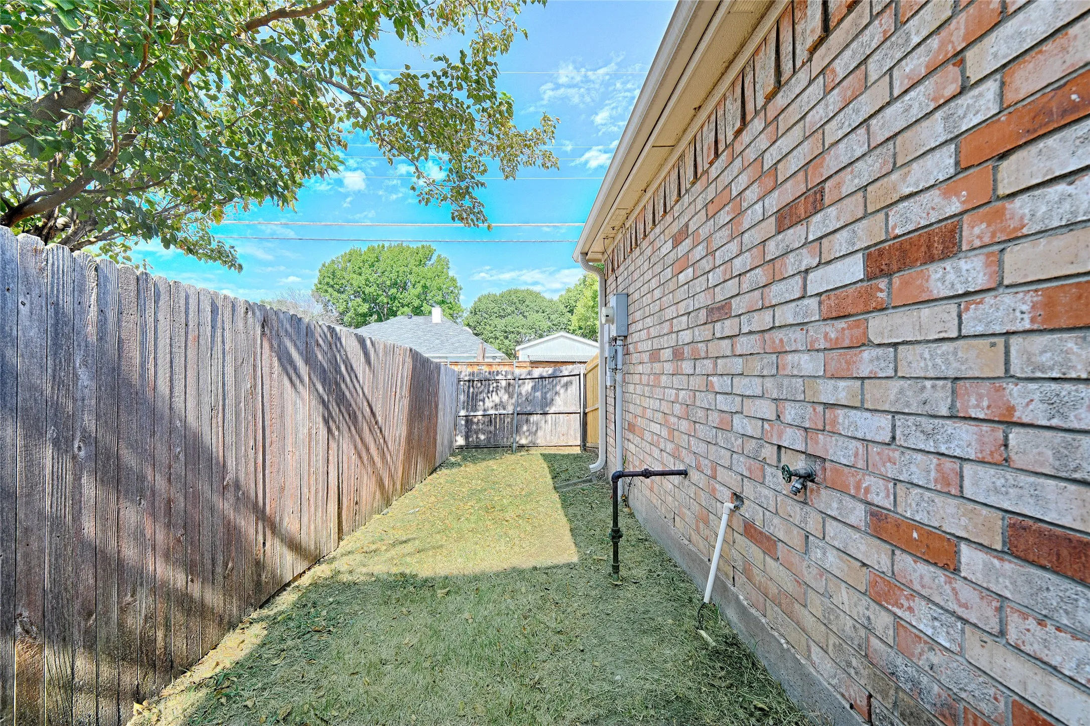 8659 Backyard
