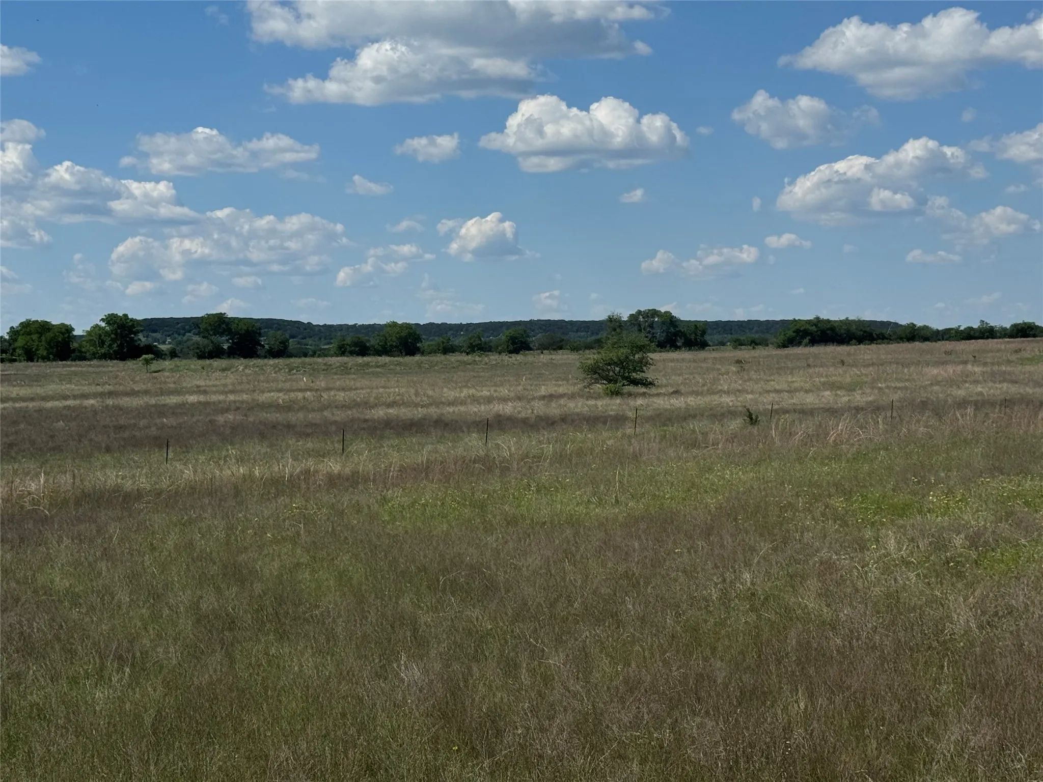 Ranch For Sale in Bosque County , 1806 County Road 2425, Iredell, Texas 76649, 0, 0, Garage spaces, 0 Sqft, built in 1965, mls#21380589, Real Estate Agent in Iredell, Homes For Sale in Bosque county, Homes For Sale in Iredell, Realtor in Iredell Texas, Real Estate Brokerage Independent Realty Texas, Luminita Cordes Realtor