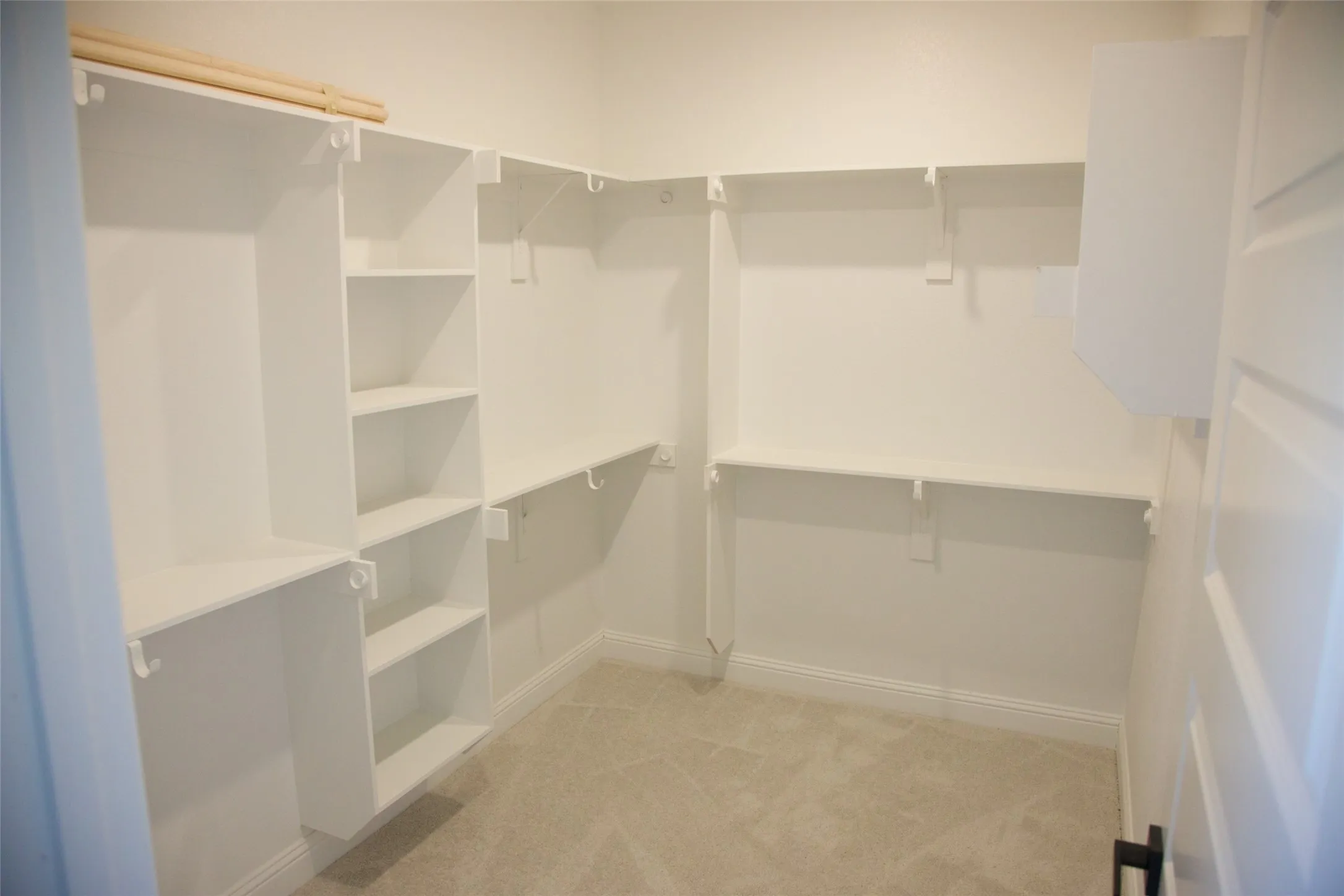 Built-in shelving, carpeted flooring, and white walls