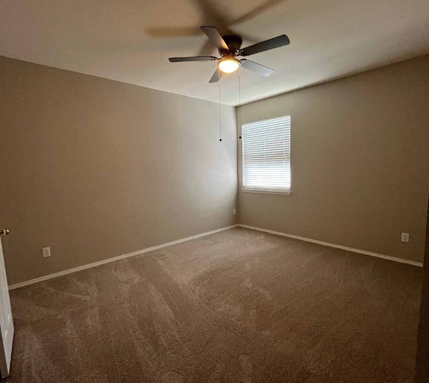 Expansive room featuring neutral-toned walls, plush carpeting, a single window with blinds, and a ceiling fan with integrated lighting