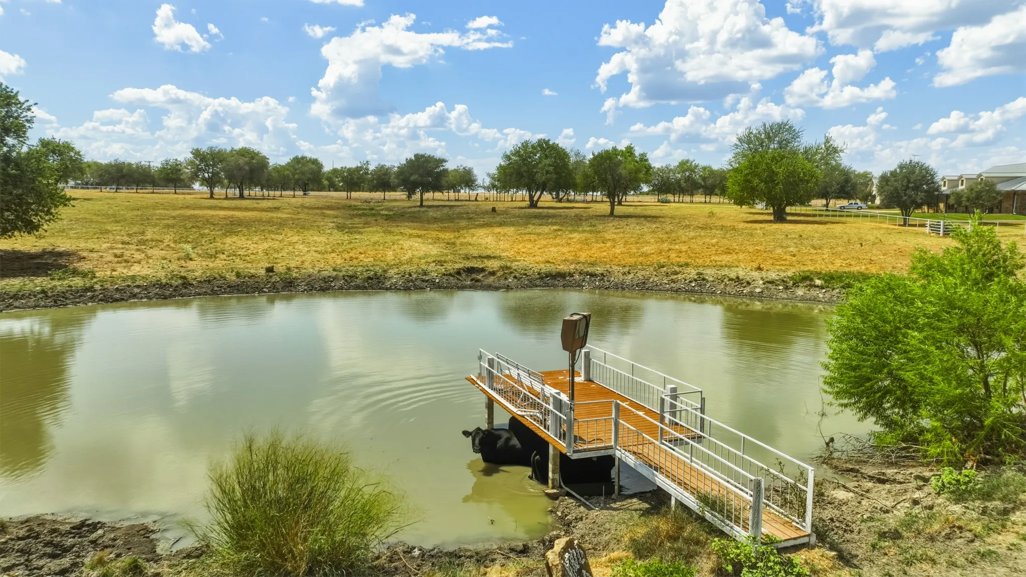 Ranch For Sale in Denton County , 11918 Riek Road !, Krum, Texas 76249, 0, 0, Garage spaces, 0 Sqft, built in 2007, mls#21376902, Real Estate Agent in Krum, Homes For Sale in Denton county, Homes For Sale in Krum, Realtor in Krum Texas, Real Estate Brokerage Independent Realty Texas, Luminita Cordes Realtor