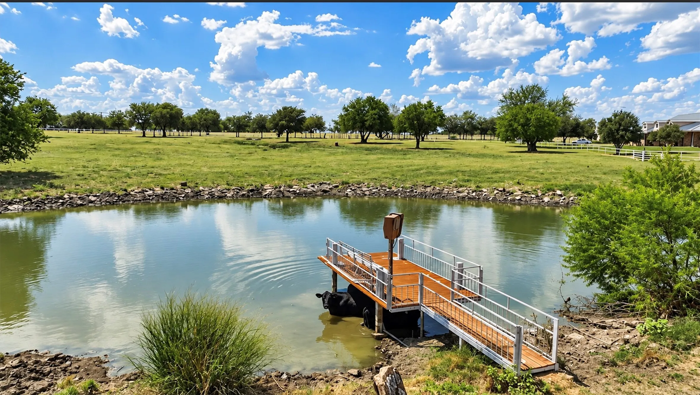 Ranch For Sale in Denton County , 11918 Riek Road !, Krum, Texas 76249, 0, 0, Garage spaces, 0 Sqft, built in 2007, mls#21376902, Real Estate Agent in Krum, Homes For Sale in Denton county, Homes For Sale in Krum, Realtor in Krum Texas, Real Estate Brokerage Independent Realty Texas, Luminita Cordes Realtor
