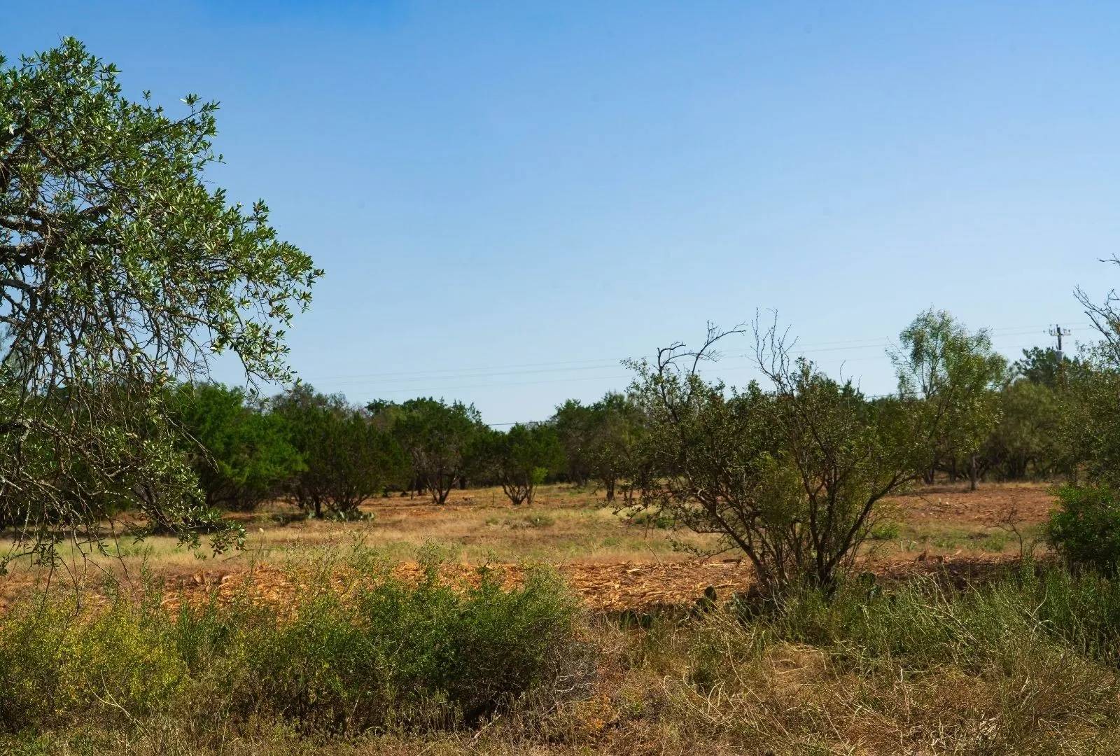 Unimproved Land For Sale in Travis County , 000 Old Ferry Road, Spicewood, Texas 78669, 0, 0, Garage spaces, 0 Sqft, built in 0, mls#21380597, Real Estate Agent in Spicewood, Homes For Sale in Travis county, Homes For Sale in Spicewood, Realtor in Spicewood Texas, Real Estate Brokerage Independent Realty Texas, Luminita Cordes Realtor