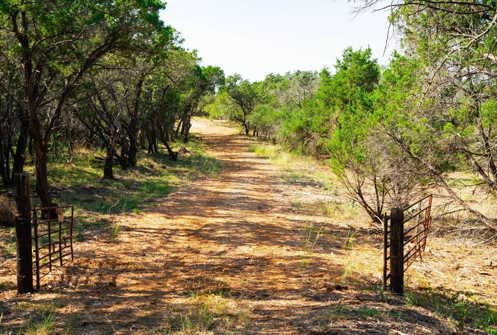 Unimproved Land For Sale in Travis County , 000 Old Ferry Road, Spicewood, Texas 78669, 0, 0, Garage spaces, 0 Sqft, built in 0, mls#21380597, Real Estate Agent in Spicewood, Homes For Sale in Travis county, Homes For Sale in Spicewood, Realtor in Spicewood Texas, Real Estate Brokerage Independent Realty Texas, Luminita Cordes Realtor