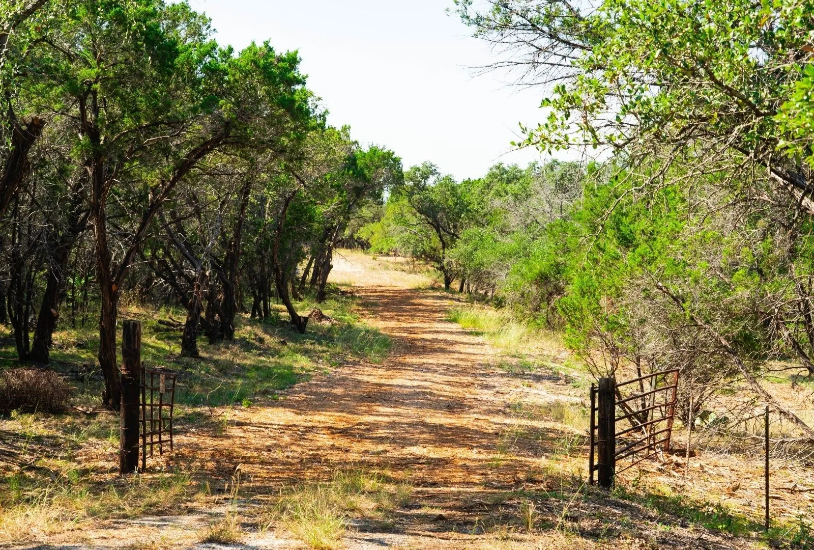Unimproved Land For Sale in Travis County , 000 Old Ferry Road, Spicewood, Texas 78669, 0, 0, Garage spaces, 0 Sqft, built in 0, mls#21380597, Real Estate Agent in Spicewood, Homes For Sale in Travis county, Homes For Sale in Spicewood, Realtor in Spicewood Texas, Real Estate Brokerage Independent Realty Texas, Luminita Cordes Realtor