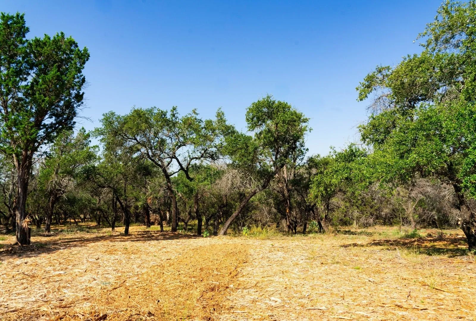Unimproved Land For Sale in Travis County , 000 Old Ferry Road, Spicewood, Texas 78669, 0, 0, Garage spaces, 0 Sqft, built in 0, mls#21380597, Real Estate Agent in Spicewood, Homes For Sale in Travis county, Homes For Sale in Spicewood, Realtor in Spicewood Texas, Real Estate Brokerage Independent Realty Texas, Luminita Cordes Realtor