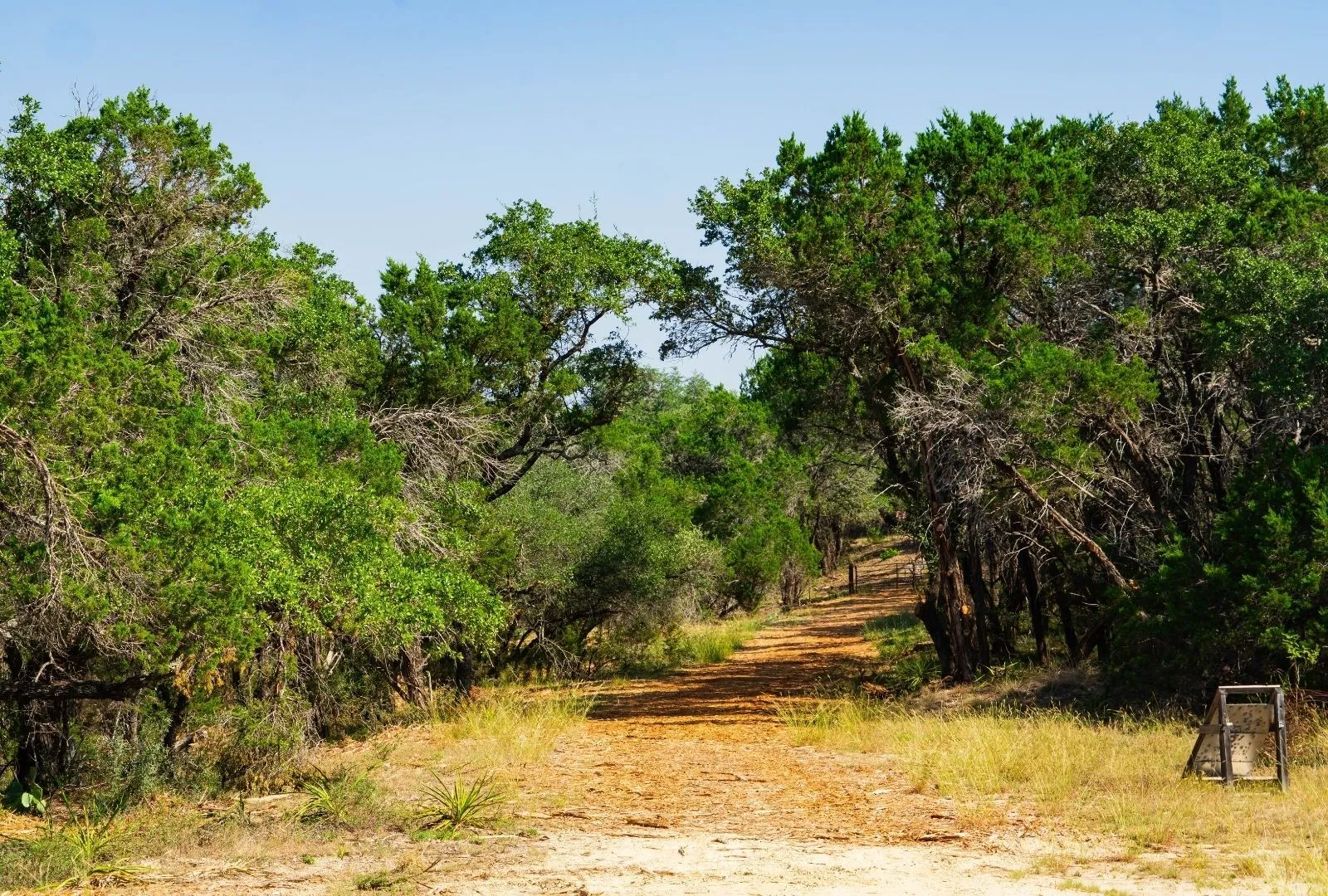 Unimproved Land For Sale in Travis County , 000 Old Ferry Road, Spicewood, Texas 78669, 0, 0, Garage spaces, 0 Sqft, built in 0, mls#21380597, Real Estate Agent in Spicewood, Homes For Sale in Travis county, Homes For Sale in Spicewood, Realtor in Spicewood Texas, Real Estate Brokerage Independent Realty Texas, Luminita Cordes Realtor