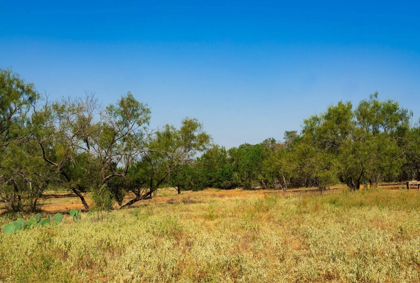 Unimproved Land For Sale in Travis County , 000 Old Ferry Road, Spicewood, Texas 78669, 0, 0, Garage spaces, 0 Sqft, built in 0, mls#21380597, Real Estate Agent in Spicewood, Homes For Sale in Travis county, Homes For Sale in Spicewood, Realtor in Spicewood Texas, Real Estate Brokerage Independent Realty Texas, Luminita Cordes Realtor