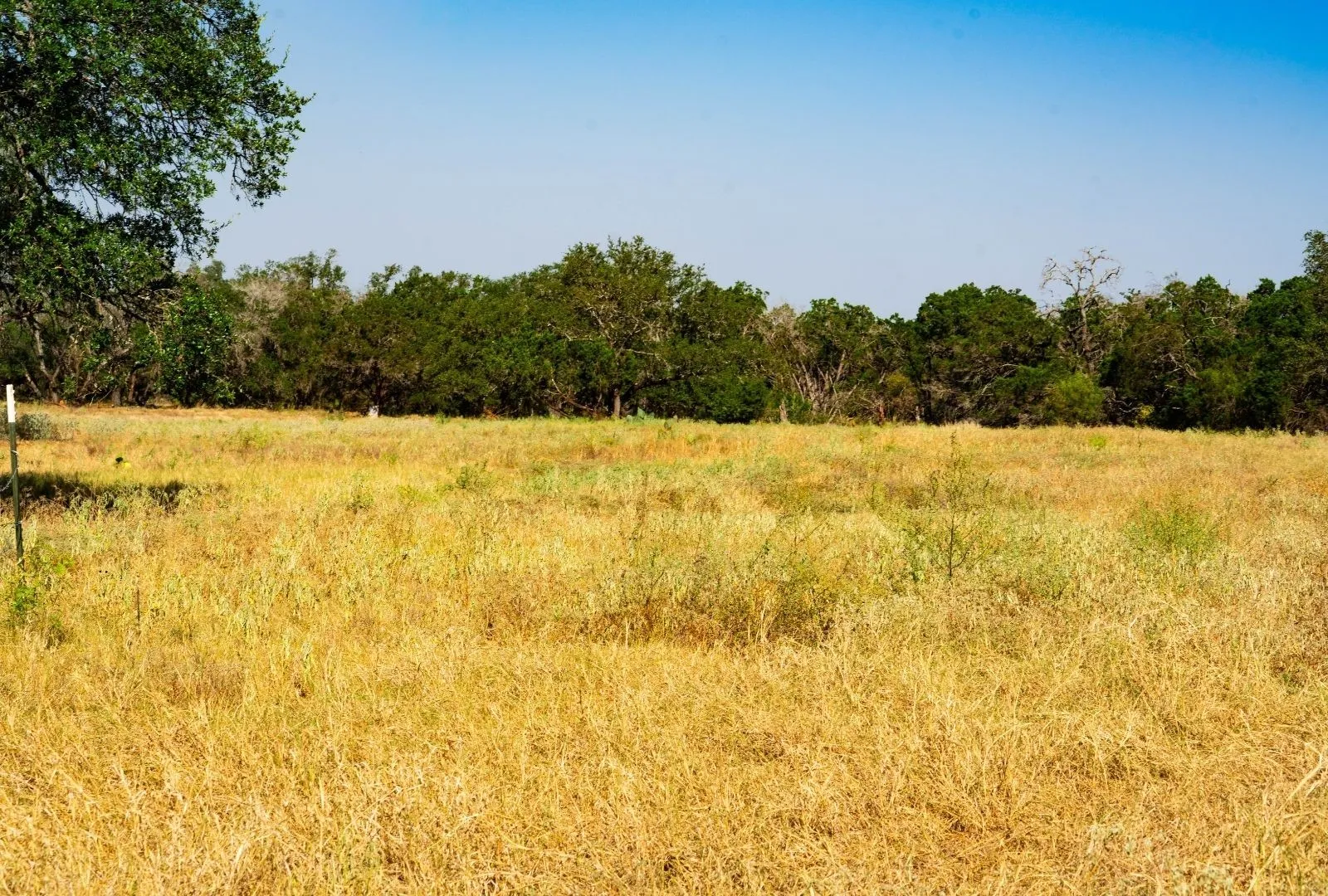Unimproved Land For Sale in Travis County , 000 Old Ferry Road, Spicewood, Texas 78669, 0, 0, Garage spaces, 0 Sqft, built in 0, mls#21380597, Real Estate Agent in Spicewood, Homes For Sale in Travis county, Homes For Sale in Spicewood, Realtor in Spicewood Texas, Real Estate Brokerage Independent Realty Texas, Luminita Cordes Realtor