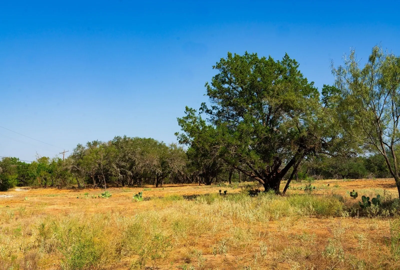 Unimproved Land For Sale in Travis County , 000 Old Ferry Road, Spicewood, Texas 78669, 0, 0, Garage spaces, 0 Sqft, built in 0, mls#21380597, Real Estate Agent in Spicewood, Homes For Sale in Travis county, Homes For Sale in Spicewood, Realtor in Spicewood Texas, Real Estate Brokerage Independent Realty Texas, Luminita Cordes Realtor