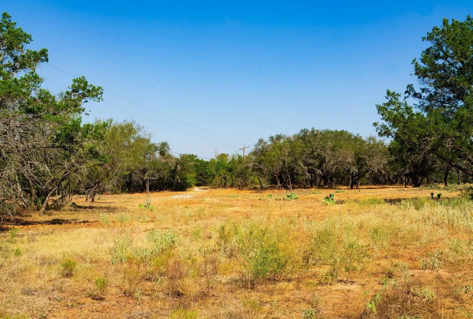 Unimproved Land For Sale in Travis County , 000 Old Ferry Road, Spicewood, Texas 78669, 0, 0, Garage spaces, 0 Sqft, built in 0, mls#21380597, Real Estate Agent in Spicewood, Homes For Sale in Travis county, Homes For Sale in Spicewood, Realtor in Spicewood Texas, Real Estate Brokerage Independent Realty Texas, Luminita Cordes Realtor