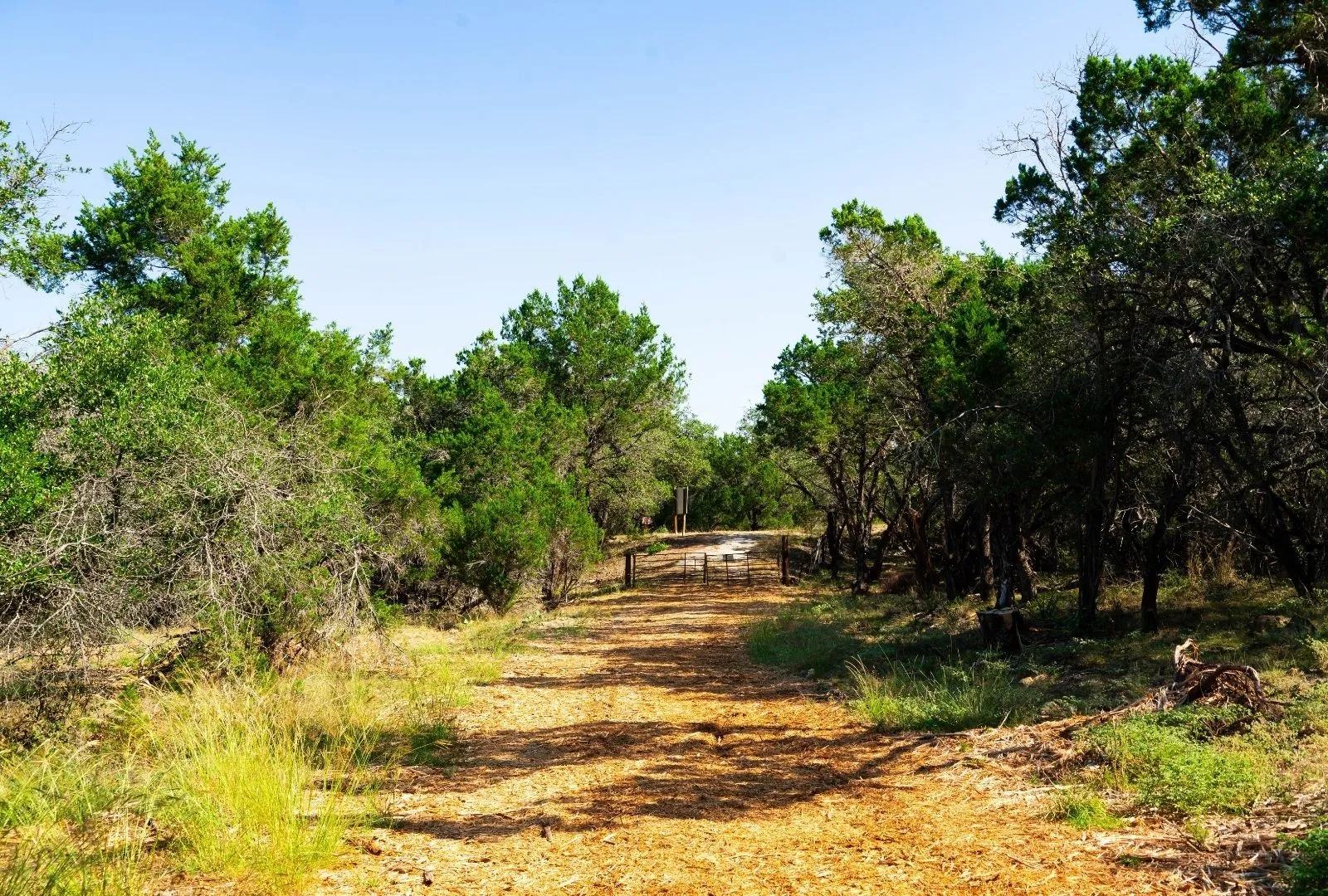 Unimproved Land For Sale in Travis County , 000 Old Ferry Road, Spicewood, Texas 78669, 0, 0, Garage spaces, 0 Sqft, built in 0, mls#21380597, Real Estate Agent in Spicewood, Homes For Sale in Travis county, Homes For Sale in Spicewood, Realtor in Spicewood Texas, Real Estate Brokerage Independent Realty Texas, Luminita Cordes Realtor