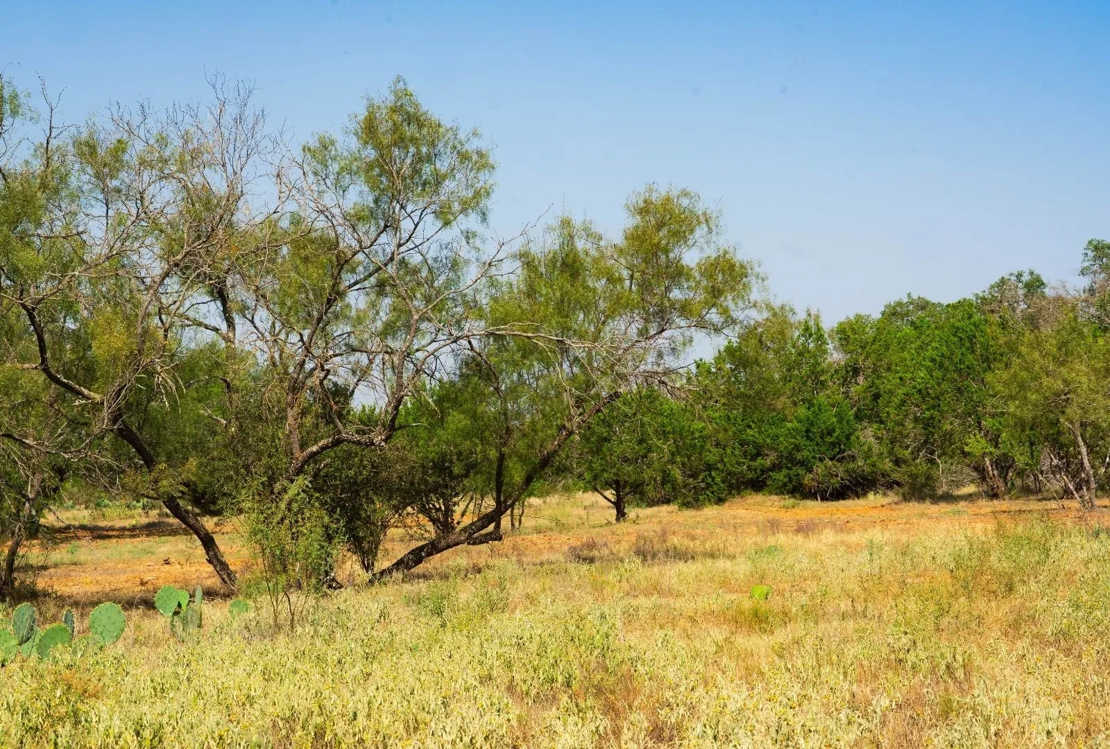 Unimproved Land For Sale in Travis County , 000 Old Ferry Road, Spicewood, Texas 78669, 0, 0, Garage spaces, 0 Sqft, built in 0, mls#21380597, Real Estate Agent in Spicewood, Homes For Sale in Travis county, Homes For Sale in Spicewood, Realtor in Spicewood Texas, Real Estate Brokerage Independent Realty Texas, Luminita Cordes Realtor