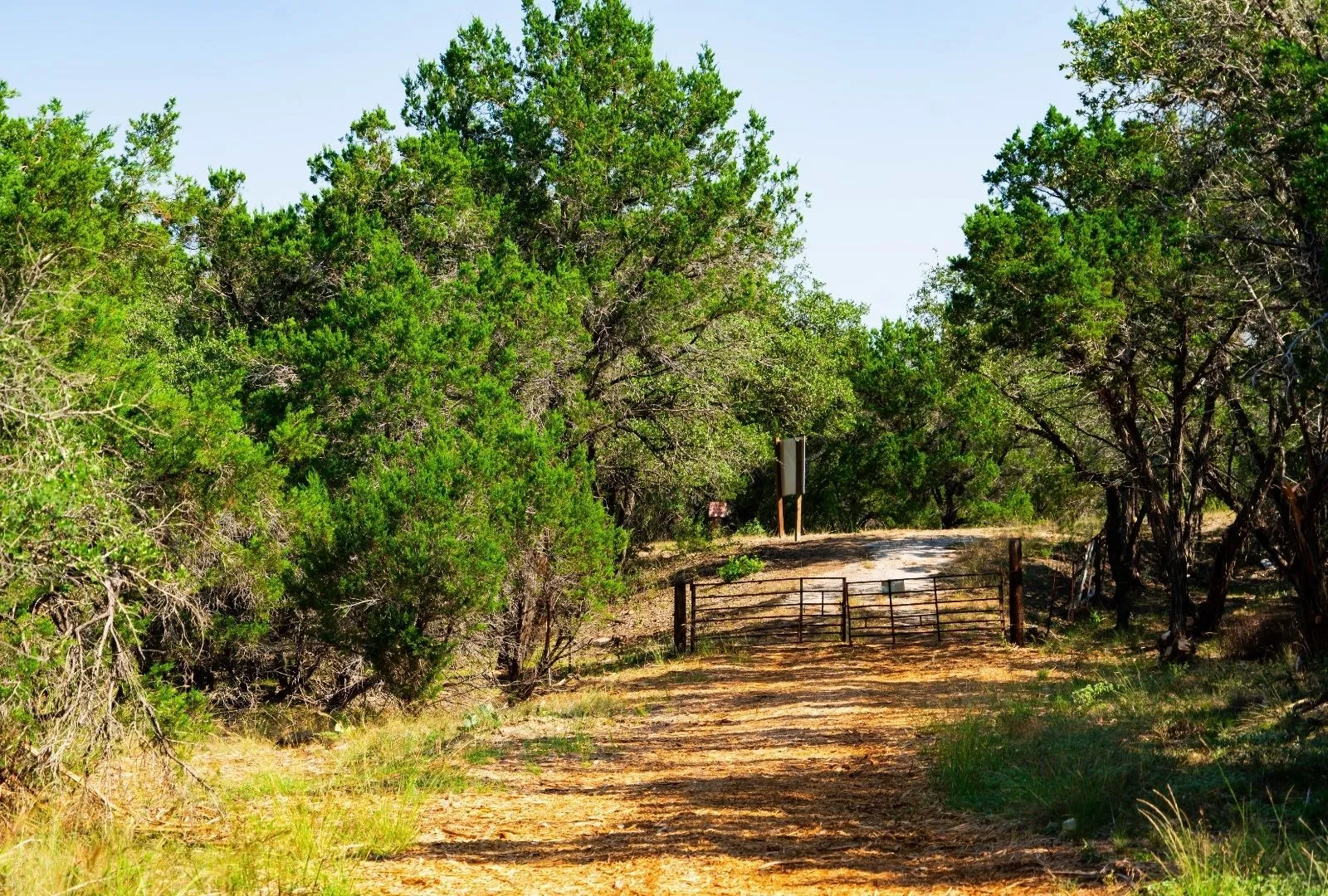 Unimproved Land For Sale in Travis County , 000 Old Ferry Road, Spicewood, Texas 78669, 0, 0, Garage spaces, 0 Sqft, built in 0, mls#21380597, Real Estate Agent in Spicewood, Homes For Sale in Travis county, Homes For Sale in Spicewood, Realtor in Spicewood Texas, Real Estate Brokerage Independent Realty Texas, Luminita Cordes Realtor