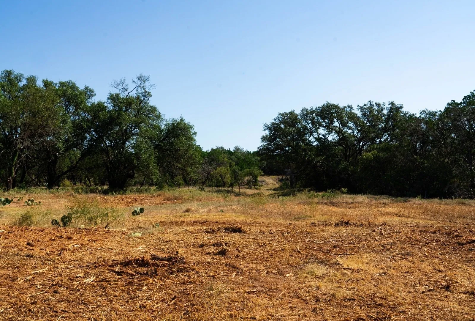 Unimproved Land For Sale in Travis County , 000 Old Ferry Road, Spicewood, Texas 78669, 0, 0, Garage spaces, 0 Sqft, built in 0, mls#21380597, Real Estate Agent in Spicewood, Homes For Sale in Travis county, Homes For Sale in Spicewood, Realtor in Spicewood Texas, Real Estate Brokerage Independent Realty Texas, Luminita Cordes Realtor