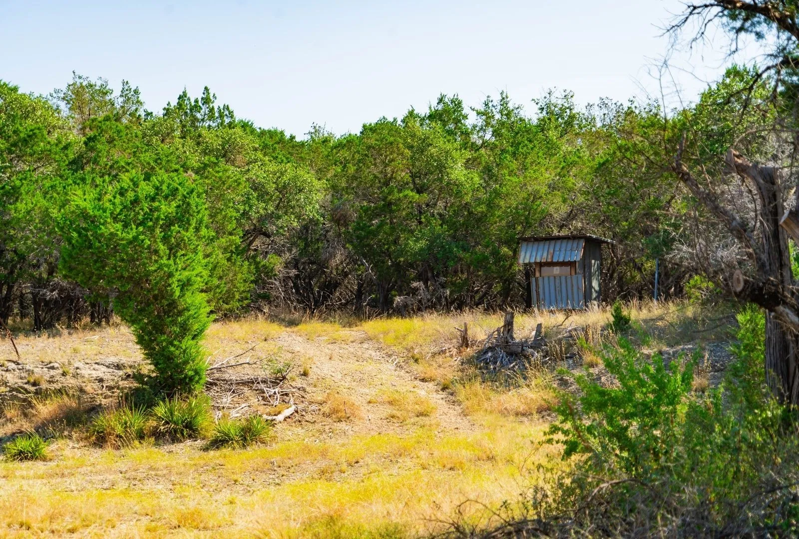 Unimproved Land For Sale in Travis County , 000 Old Ferry Road, Spicewood, Texas 78669, 0, 0, Garage spaces, 0 Sqft, built in 0, mls#21380597, Real Estate Agent in Spicewood, Homes For Sale in Travis county, Homes For Sale in Spicewood, Realtor in Spicewood Texas, Real Estate Brokerage Independent Realty Texas, Luminita Cordes Realtor