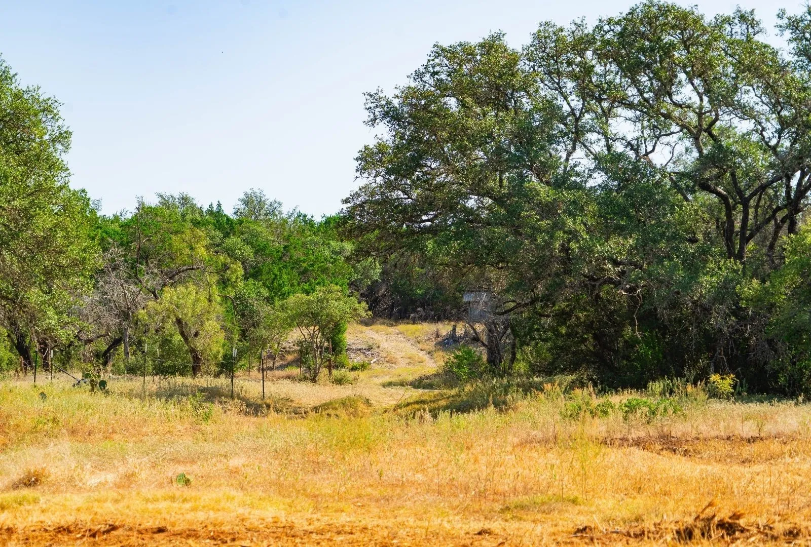 Unimproved Land For Sale in Travis County , 000 Old Ferry Road, Spicewood, Texas 78669, 0, 0, Garage spaces, 0 Sqft, built in 0, mls#21380597, Real Estate Agent in Spicewood, Homes For Sale in Travis county, Homes For Sale in Spicewood, Realtor in Spicewood Texas, Real Estate Brokerage Independent Realty Texas, Luminita Cordes Realtor