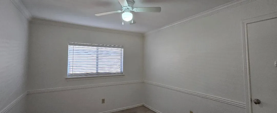 Window with horizontal blinds, crown molding, chair rail molding, ceiling fan with integrated lighting, and carpeted flooring
