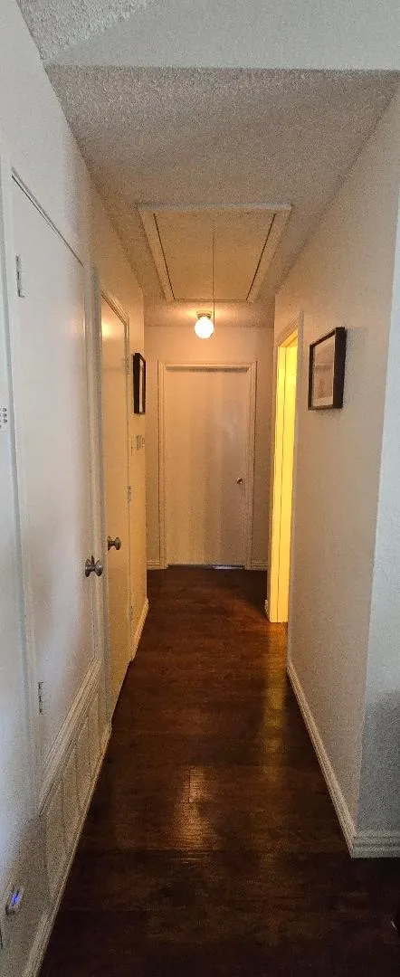 Wood-finish flooring throughout the hallway