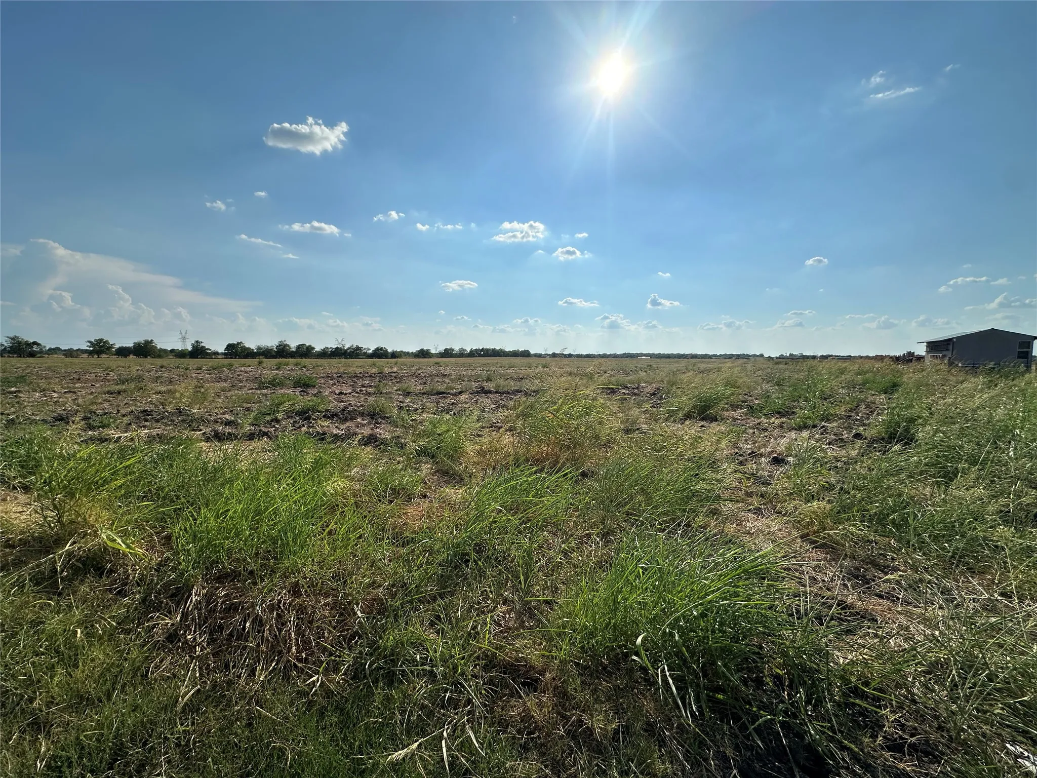 Unimproved Land For Sale in Hunt County , TBD County Road 4308, Greenville, Texas 75401, 0, 0, Garage spaces, 0 Sqft, built in 0, mls#21380697, Real Estate Agent in Greenville, Homes For Sale in Hunt county, Homes For Sale in Greenville, Realtor in Greenville Texas, Real Estate Brokerage Independent Realty Texas, Luminita Cordes Realtor
