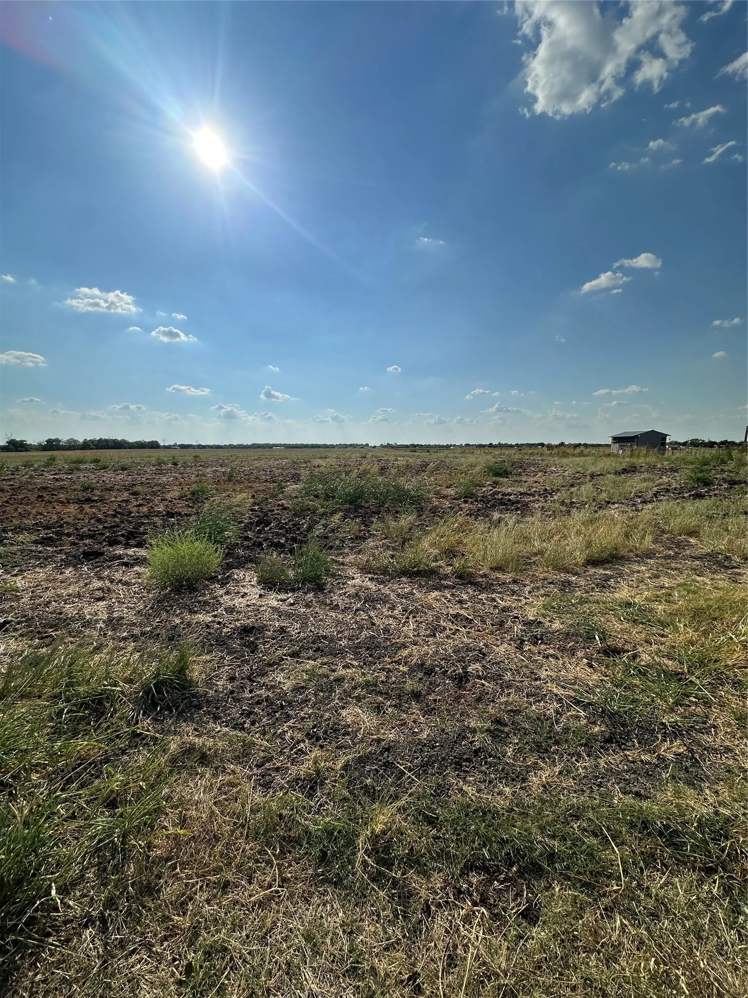 Expansive open land with scattered natural vegetation
