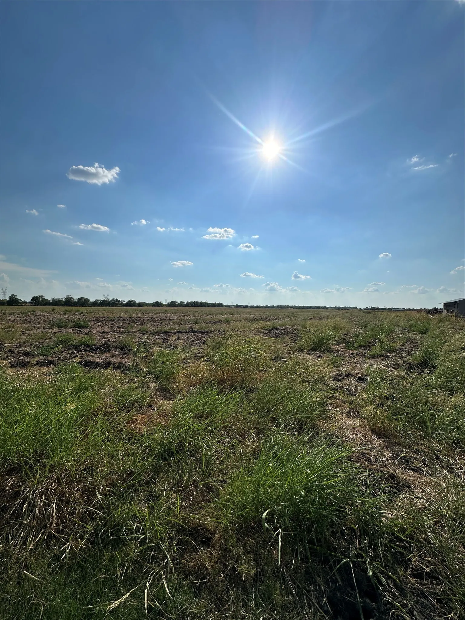 Expansive open land with natural grass and a clear sky backdrop