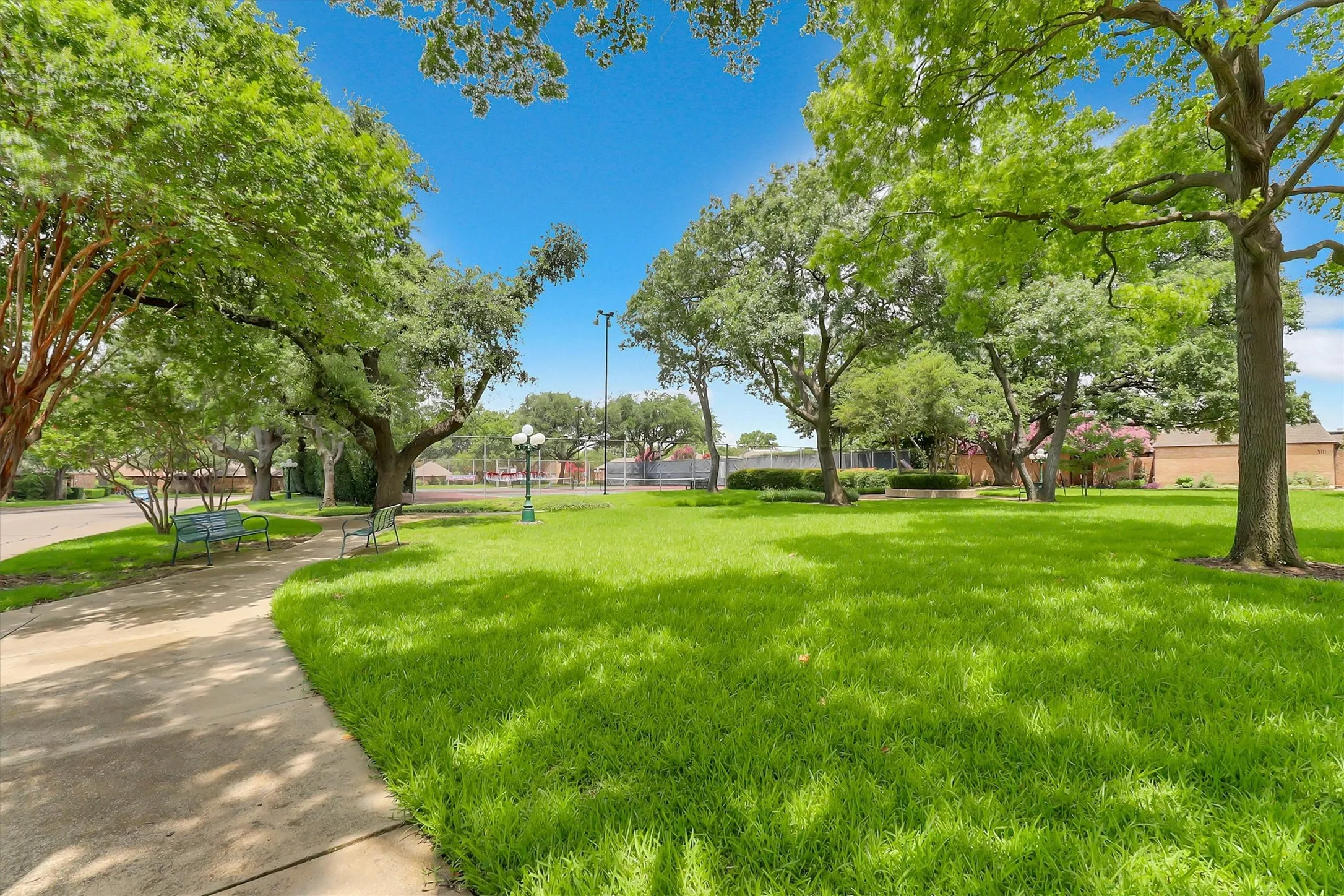 View of park from home