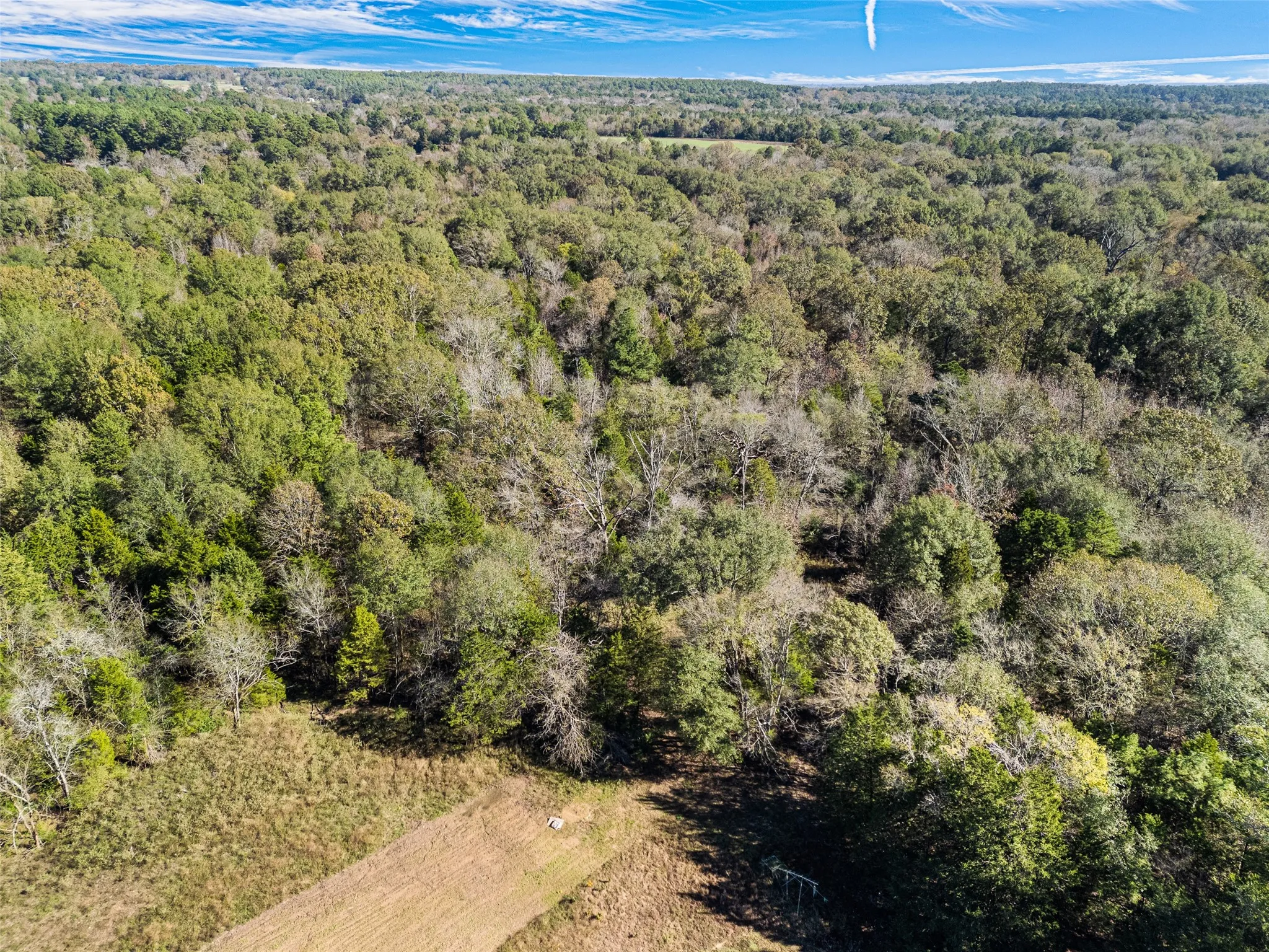 Unimproved Land For Sale in Van Zandt County , TBD VZ County Road 4815, Chandler, Texas 75758, 0, 0, Garage spaces, 0 Sqft, built in 0, mls#21380785, Real Estate Agent in Chandler, Homes For Sale in Van Zandt county, Homes For Sale in Chandler, Realtor in Chandler Texas, Real Estate Brokerage Independent Realty Texas, Luminita Cordes Realtor