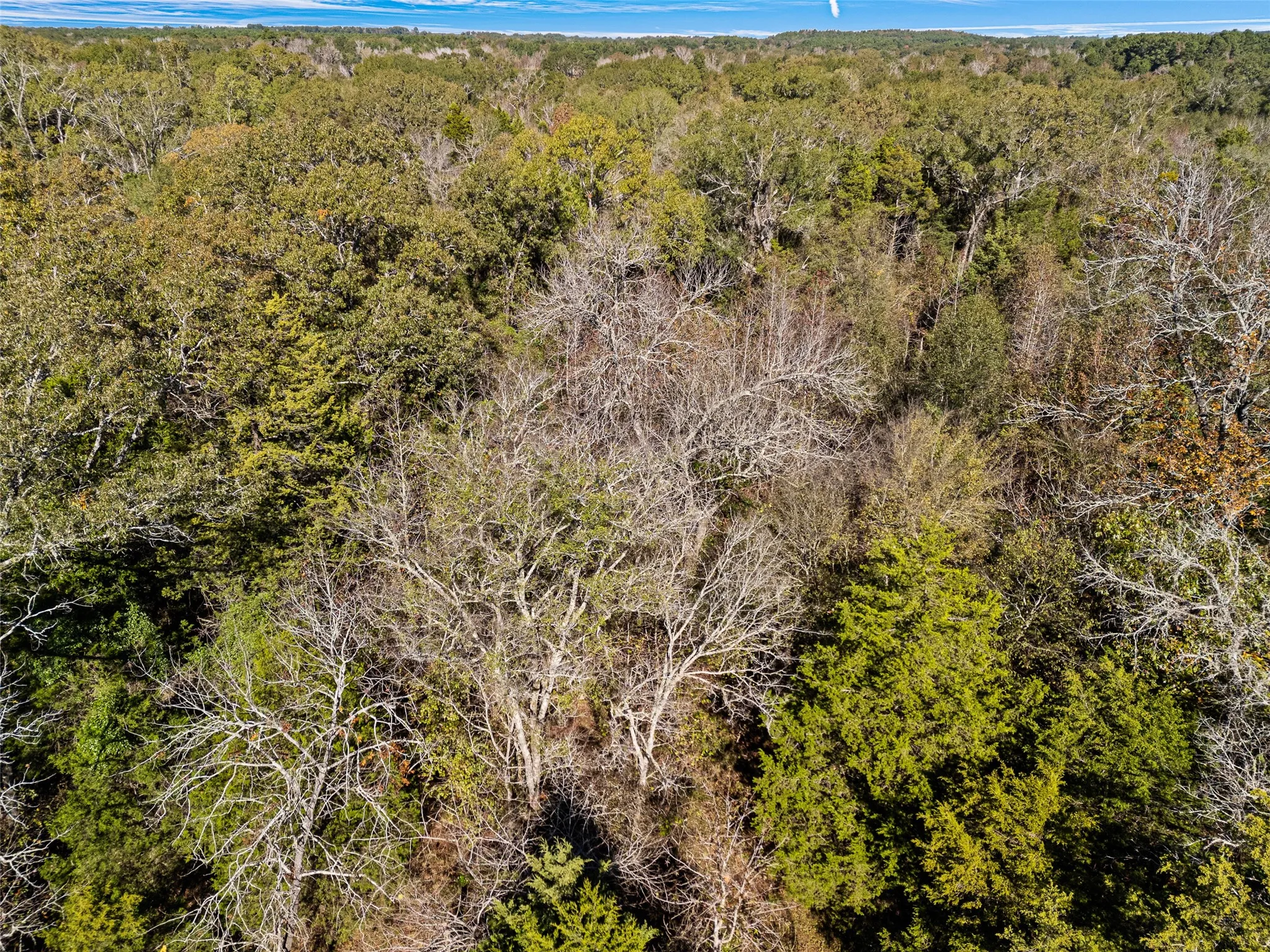 Unimproved Land For Sale in Van Zandt County , TBD VZ County Road 4815, Chandler, Texas 75758, 0, 0, Garage spaces, 0 Sqft, built in 0, mls#21380785, Real Estate Agent in Chandler, Homes For Sale in Van Zandt county, Homes For Sale in Chandler, Realtor in Chandler Texas, Real Estate Brokerage Independent Realty Texas, Luminita Cordes Realtor