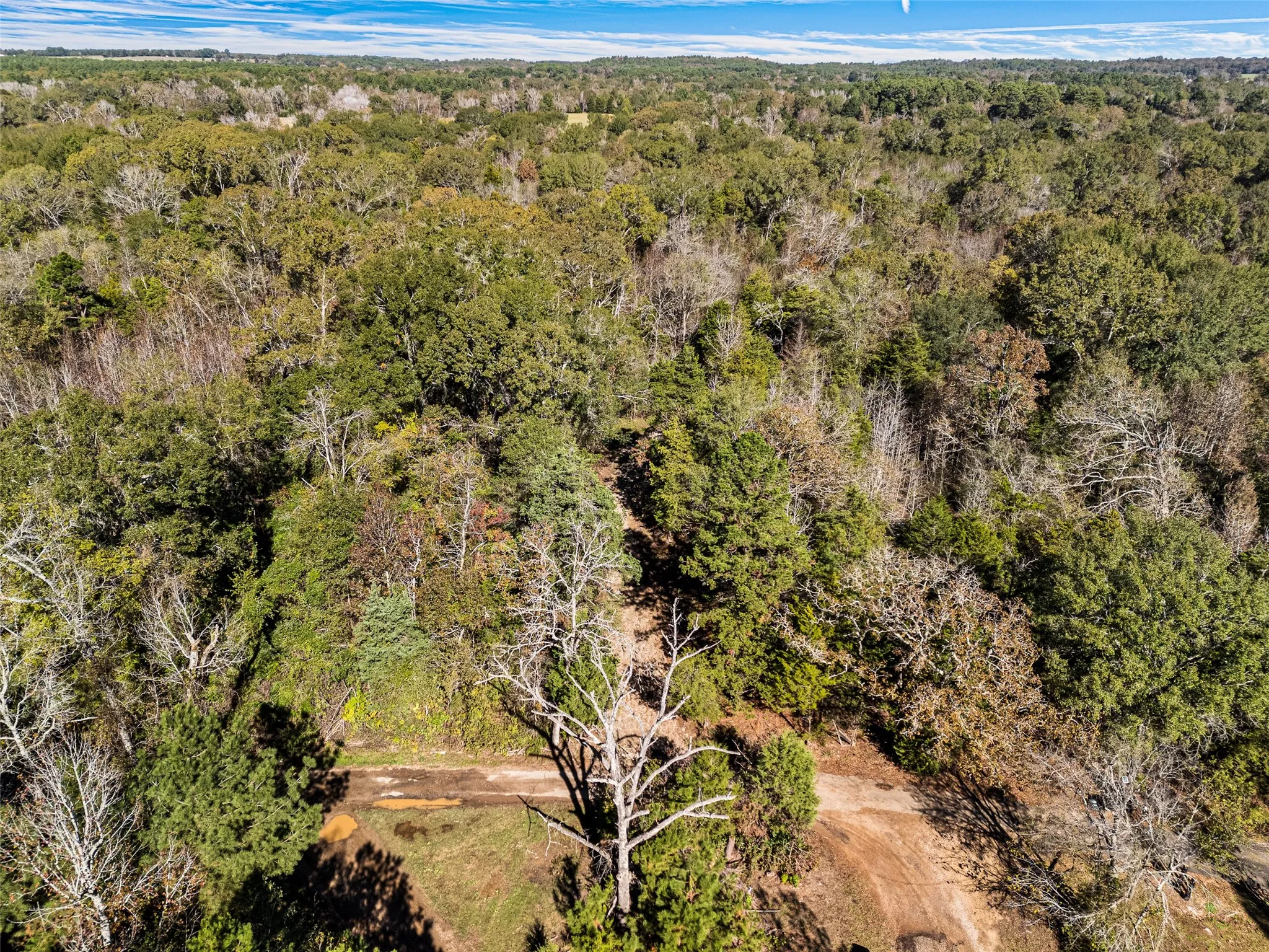 Unimproved Land For Sale in Van Zandt County , TBD VZ County Road 4815, Chandler, Texas 75758, 0, 0, Garage spaces, 0 Sqft, built in 0, mls#21380785, Real Estate Agent in Chandler, Homes For Sale in Van Zandt county, Homes For Sale in Chandler, Realtor in Chandler Texas, Real Estate Brokerage Independent Realty Texas, Luminita Cordes Realtor